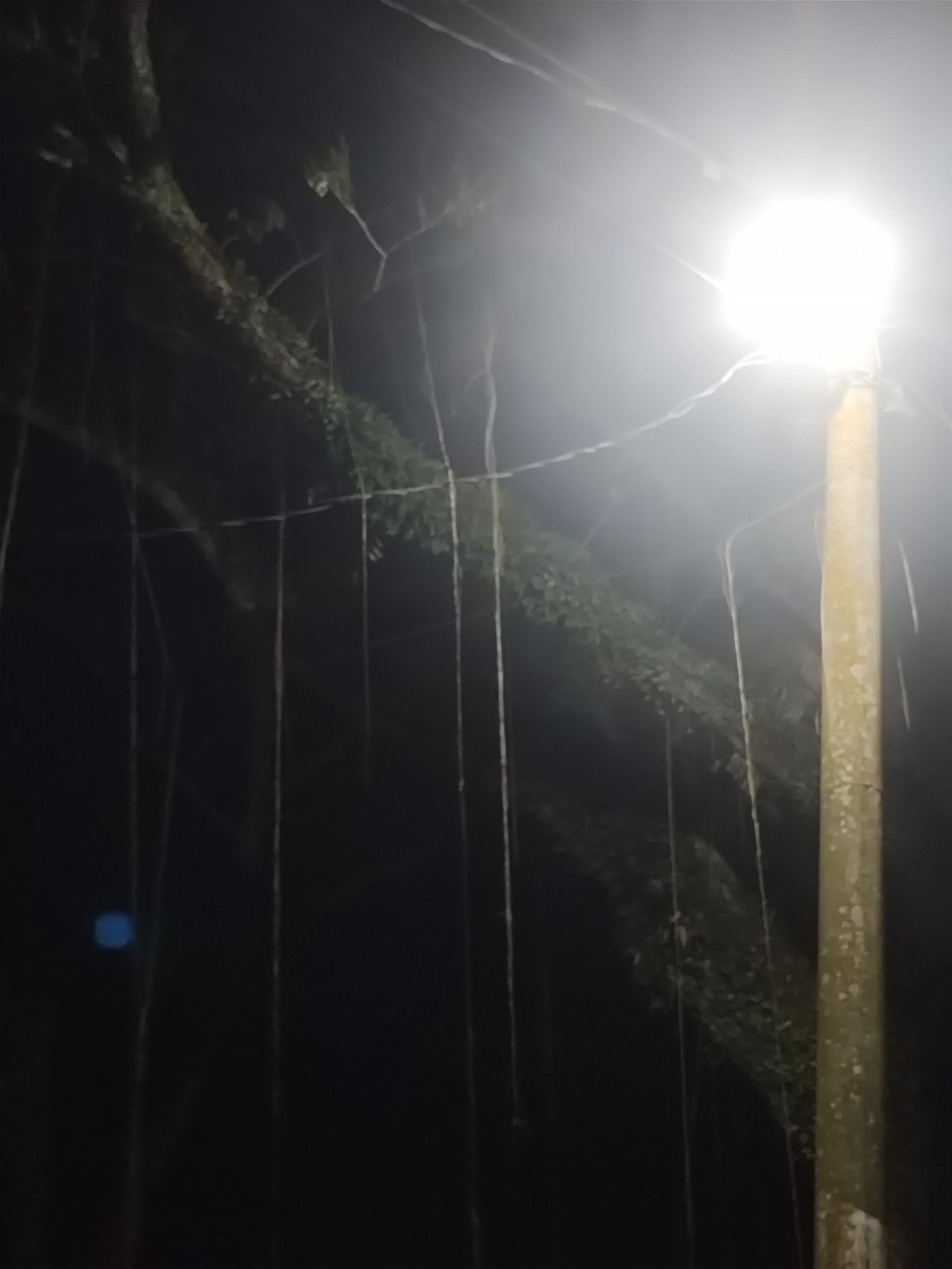 The image shows a lamppost with a bright light at night. A large tree branch with hanging vines is visible in the background, partially illuminated by the light. The scene appears to be outdoors, possibly in a rural or natural setting given the presence of the tree. The location in Keudematangkuli, Indonesia is not explicitly indicated in the image itself, but it is provided as context. There are no people or specific actions depicted. The overall atmosphere is dark and somewhat mysterious due to the low lighting conditions.