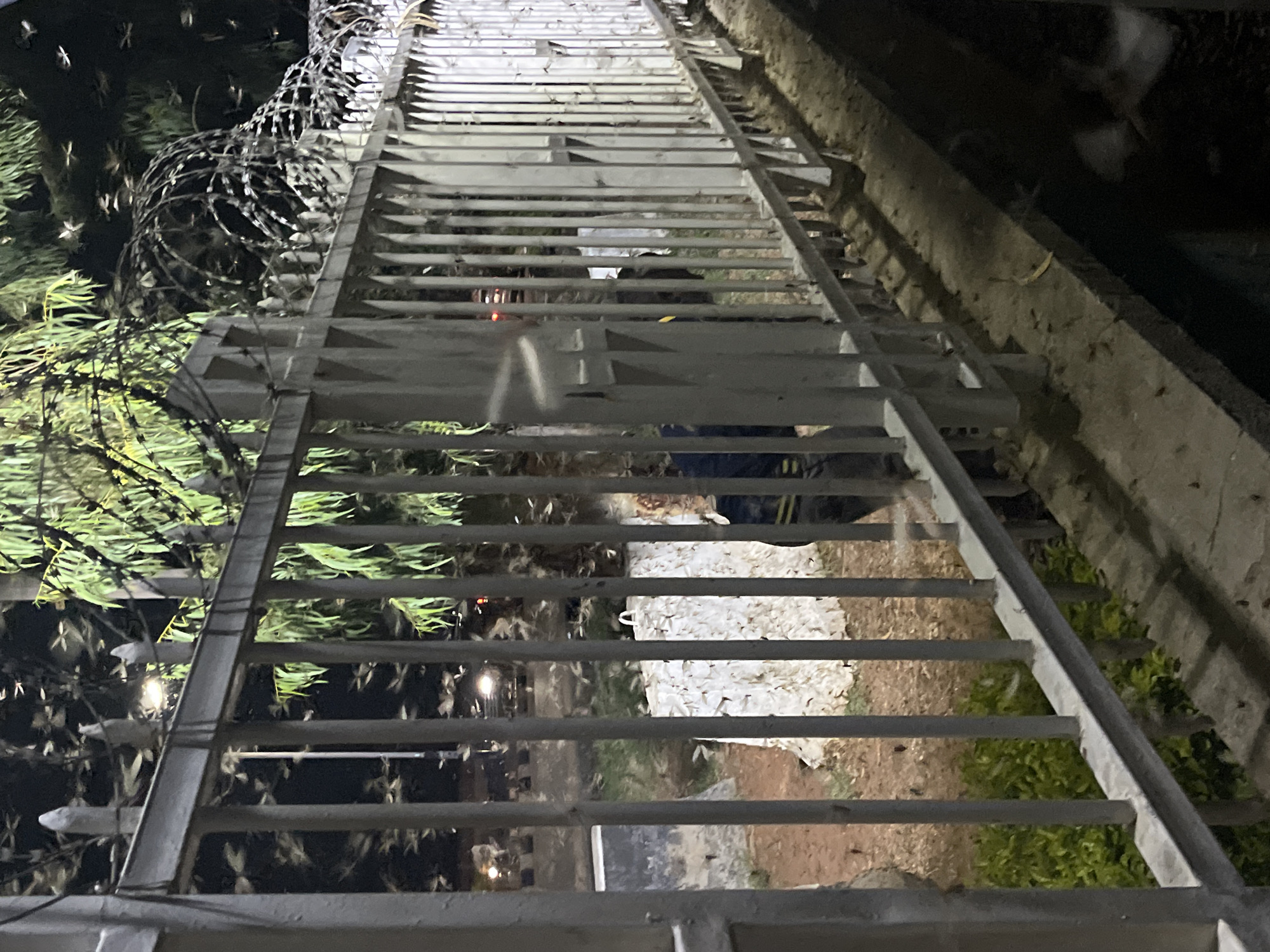 The image depicts a fence topped with razor wire at night. On one side of the fence is vegetation, and on the other side appears to be a concrete wall. In the background are indistinct shapes of people. The location is in Jos, Nigeria.