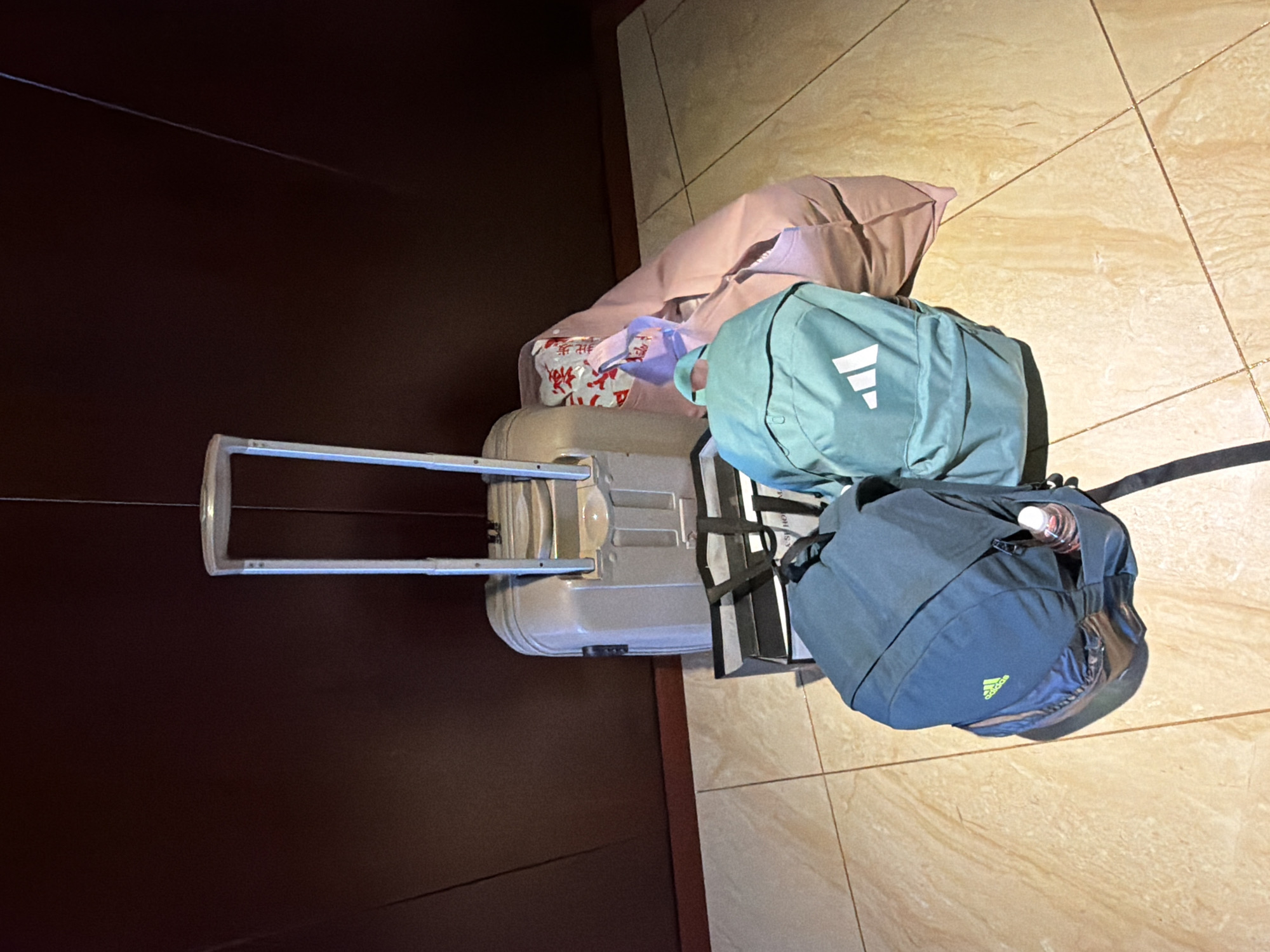 The image displays a collection of luggage arranged indoors on a light-colored tiled floor, suggesting a travel context. A large, light grey hardshell suitcase with its telescopic handle extended occupies the left side of the frame. Resting near the suitcase are two backpacks: one light teal/mint green Adidas backpack with a white triple-stripe logo, and a darker blue/grey Adidas backpack with a light green logo, which has a plastic water bottle with a red cap in its side mesh pocket.
Behind the backpacks, a soft, light pink item, possibly a bag or cushion, is visible. Inside this pink item, a white plastic bag contains other goods, and Chinese characters are discernible on its surface. The characters "特產" (tèchǎn), meaning "specialty product" or "local product," are visible, hinting at items acquired during travel in Tongjiang, China.
The setting appears to be an indoor area, possibly a hotel room, hallway, or entrance, with a dark brown wall or door to the left and a lighter beige wall with a diagonal line in the background. The floor consists of large square tiles in a light beige or cream color with darker grout lines. The activity depicted is implied as preparing for departure or having just arrived, with the luggage packed and ready. No people are visible, and the lighting suggests an indoor artificial source rather than strong natural light.