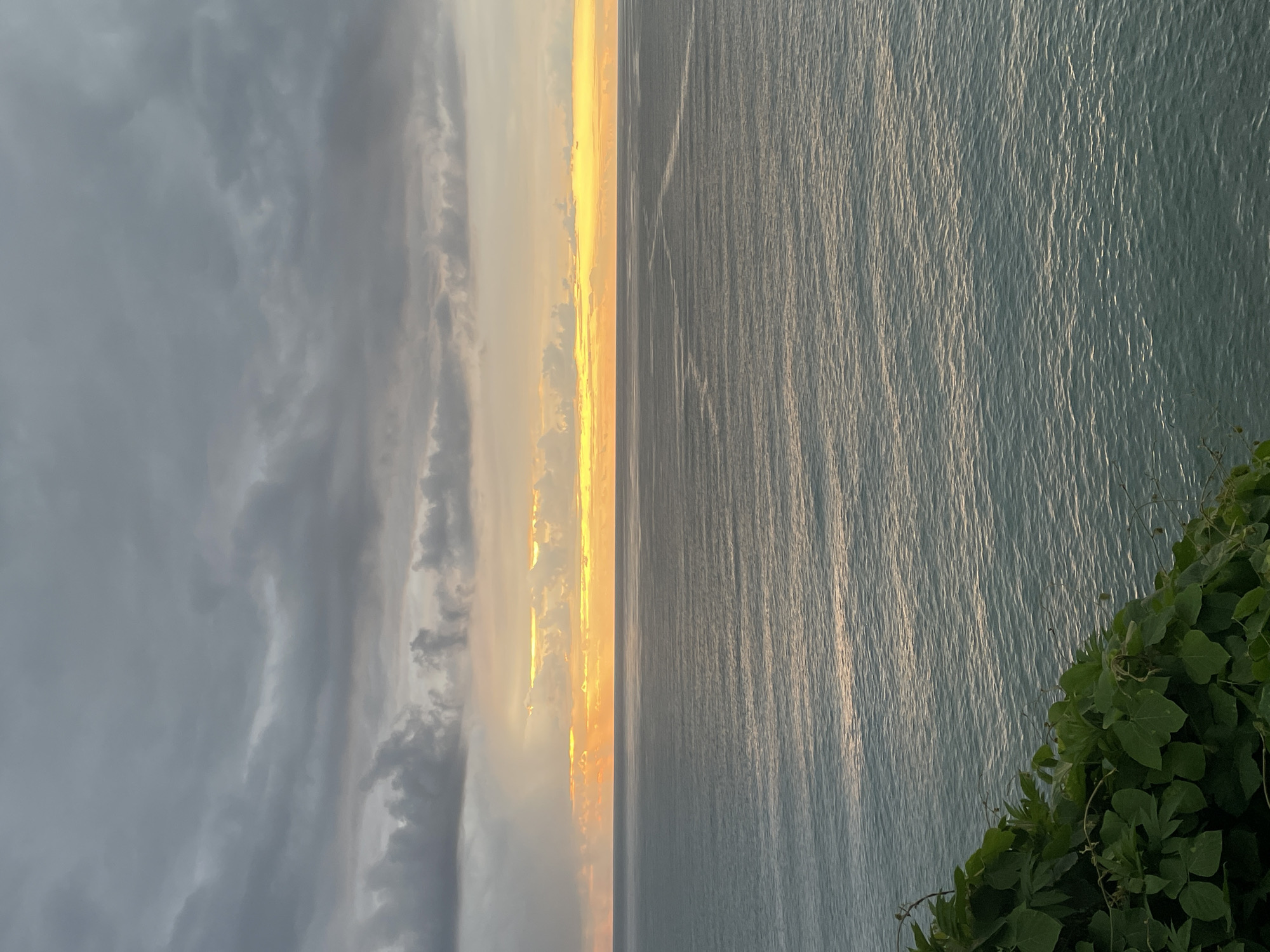 The image depicts a serene seascape with a dramatic sky at dusk. The upper portion of the frame is dominated by heavy, gray clouds, with breaks of vibrant orange and yellow light peeking through near the horizon, suggesting the last rays of a sunset. The sea below is calm, with subtle ripples reflecting the muted light. In the lower left corner, lush green foliage cascades down, hinting at a cliffside or elevated viewpoint. The scene evokes a sense of tranquility and the vastness of nature. The location is Buknari, Georgia. There are no people, specific objects, or actions visible in the image. The environment is primarily the sea and the sky.