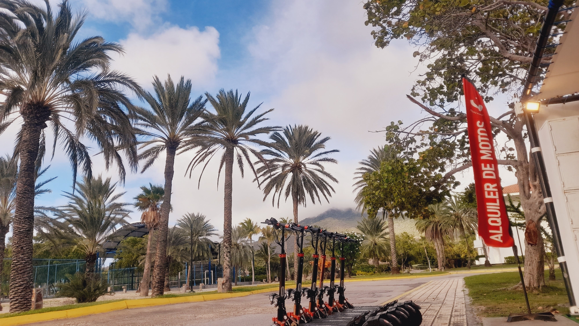 The image captures an outdoor scene in the city of Pedro González, Venezuela, featuring a row of electric scooters parked on a paved surface beside a sidewalk. Towering palm trees dominate the foreground and midground, with their fronds reaching towards a cloudy sky. In the background, lush green vegetation and a distant mountain range under a hazy sky are visible. A red banner with white lettering reading "ALQUILER DE MOTOS" (Motorcycle Rental) is prominently displayed on the right side of the frame, attached to a pole near a building structure. The ground is a mix of asphalt and a paved walkway with a yellow curb. The scene appears to be a rental spot for the scooters, set against a tropical backdrop.