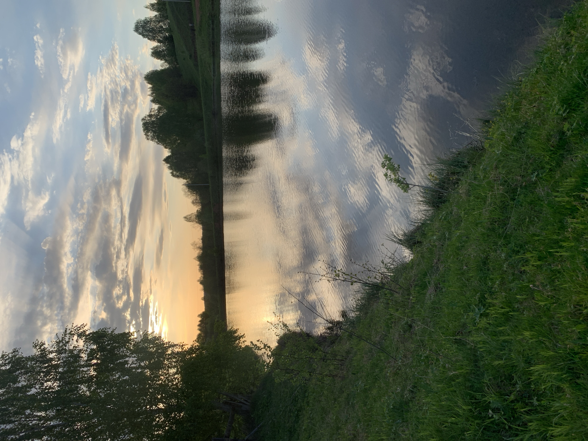 The image depicts a body of water, likely a lake or a wide section of a river, at sunset. The water reflects the sky, which is filled with clouds ranging from light, wispy formations to darker, more defined shapes. The sun is low on the horizon, casting a warm golden glow across the water and the sky. Trees line the opposite bank of the water, their silhouettes dark against the bright sky. On the near bank, there is lush green grass and some smaller vegetation. There are no people visible in the frame. The photograph seems to be taken from a slightly low angle. The precise location within Zasechnyi, Russia, cannot be determined without further information.