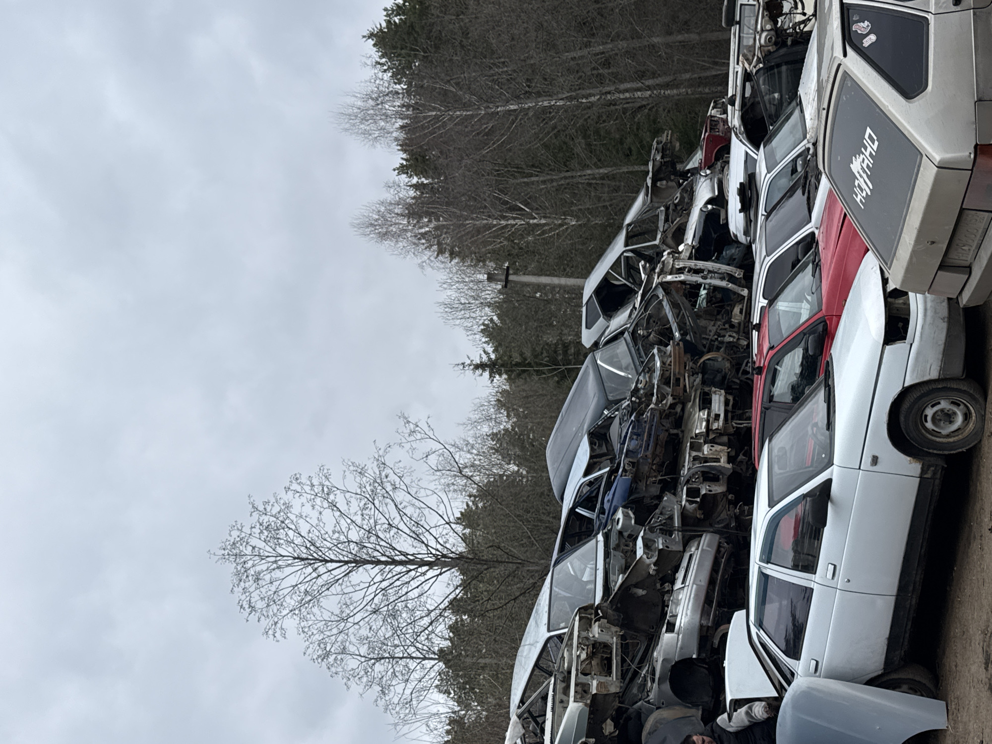 This image depicts a large outdoor car junkyard or auto salvage facility. A substantial pile of heavily damaged and dismantled vehicles, primarily older model sedans and hatchbacks, dominates the right side of the frame. The cars, in various states of disrepair, are stacked several layers high, showcasing exposed interiors, missing body panels, and visible chassis components. Colors of the cars include white, red, and silver.
In the background, on the left side of the frame, a dense forest composed mainly of bare deciduous trees and some evergreens stretches across the horizon, suggesting the season is late autumn, winter, or early spring. The sky is uniformly overcast and grey. The ground beneath the pile of cars appears to be dirt or gravel.
Notable text visible on the vehicles includes "LADA" on the rear of a white car and a stylized "HACHIKO" on the door of another white car. The word "НОВАЯ" (Novaya - "New") is also discernible on a car door, likely part of a larger phrase. Further within the stack of cars, the word "ДВИГАТЕЛЬ" (Dvigatel' - "Engine") can be seen on a component. No explicit human activity is clearly visible in the scene.