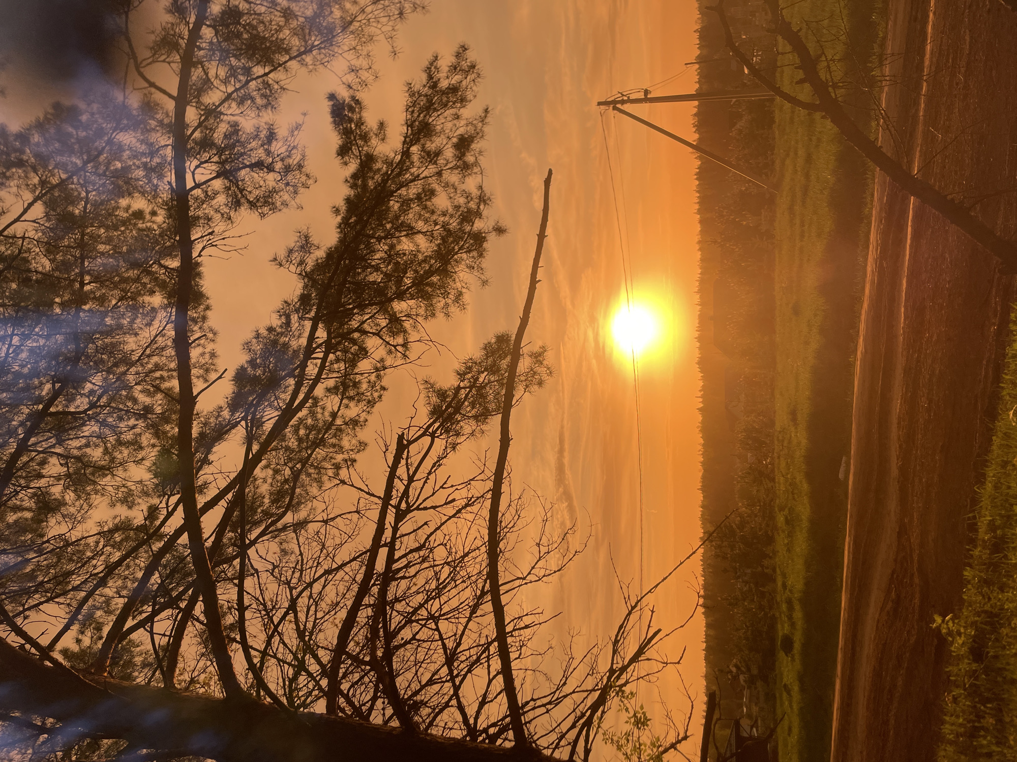 The image shows a landscape in Подшивалово, Russia, bathed in the warm, orange glow of the setting sun. Silhouetted trees occupy the left foreground, their bare branches reaching towards the sky. A power pole stands against the bright sun in the distance, casting long shadows over what appears to be a field or meadow. To the right, a dirt road runs alongside a grassy area, leading into the distance. The sky is filled with a hazy orange light, suggesting either a sunset or atmospheric conditions affecting the sunlight.