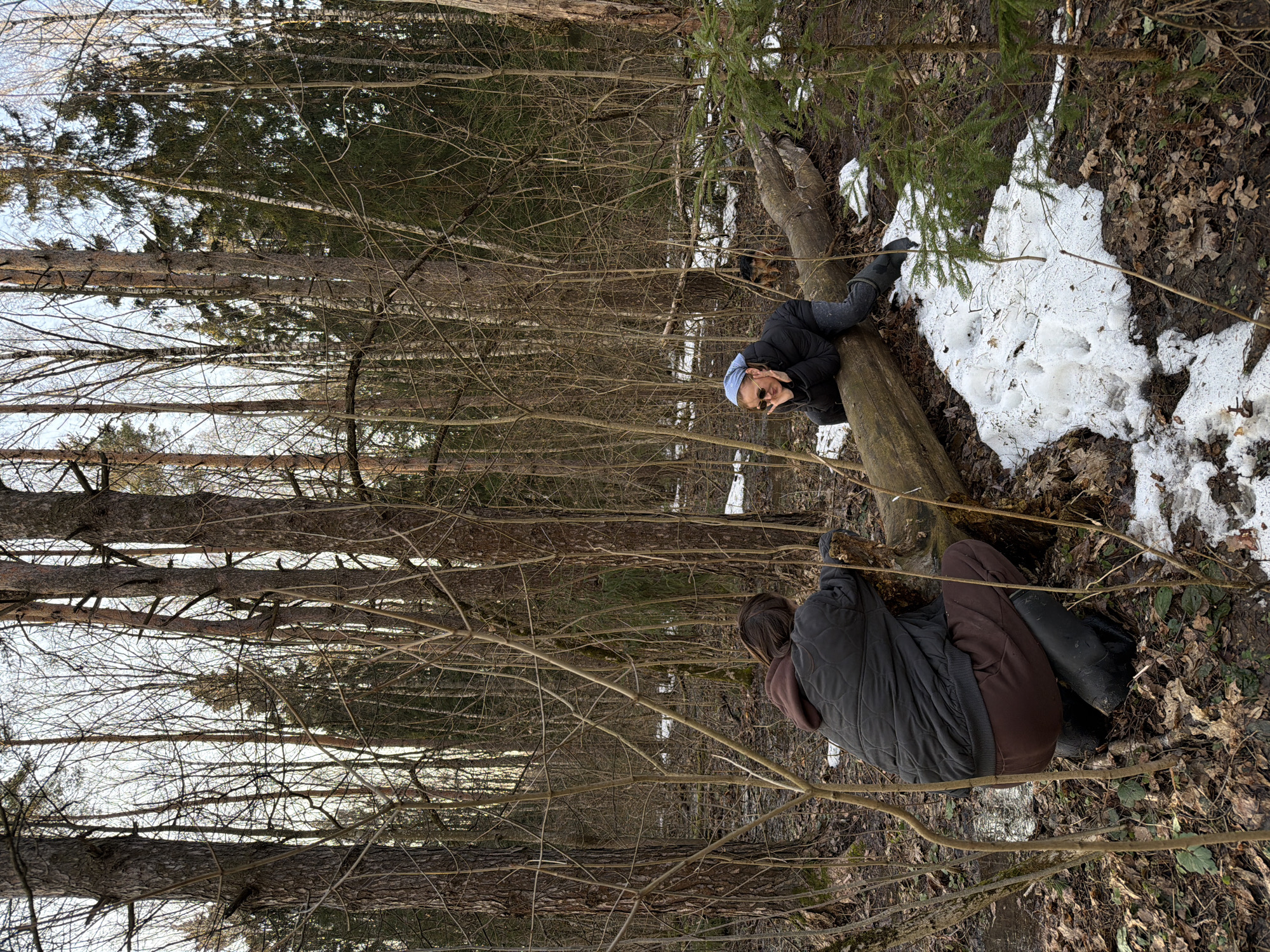 The scene depicts two individuals and a dog in a sparse mixed forest in Khimki, Russia, during what appears to be late winter or early spring. The ground is covered with fallen leaves, patches of melting snow, and areas of dark mud and water. Numerous bare deciduous trees and some coniferous trees form the background, with thin branches in the foreground.
In the mid-ground, a large, light-colored fallen log lies horizontally on the forest floor. To the left, a person with brown hair, wearing a dark grey quilted jacket over a brown hooded sweatshirt and brown pants, is crouched near the left end of the log. They are positioned with their back slightly to the viewer, hands near the log's end. Dark, possibly rubber, boots are visible on their feet.
To the right of the log, another person is sitting or leaning on the log, facing the camera with a slight smile. This individual wears a light blue head covering, sunglasses on their head, a dark puffy jacket, dark pants, and dark boots. Their elbows rest on the log, and their hands are under their chin.
A dark-colored dog is visible in the background, positioned behind the fallen log and between the two individuals, looking towards the right side of the frame. Small green saplings, possibly spruce, are present near the right end of the log and other parts of the forest floor.