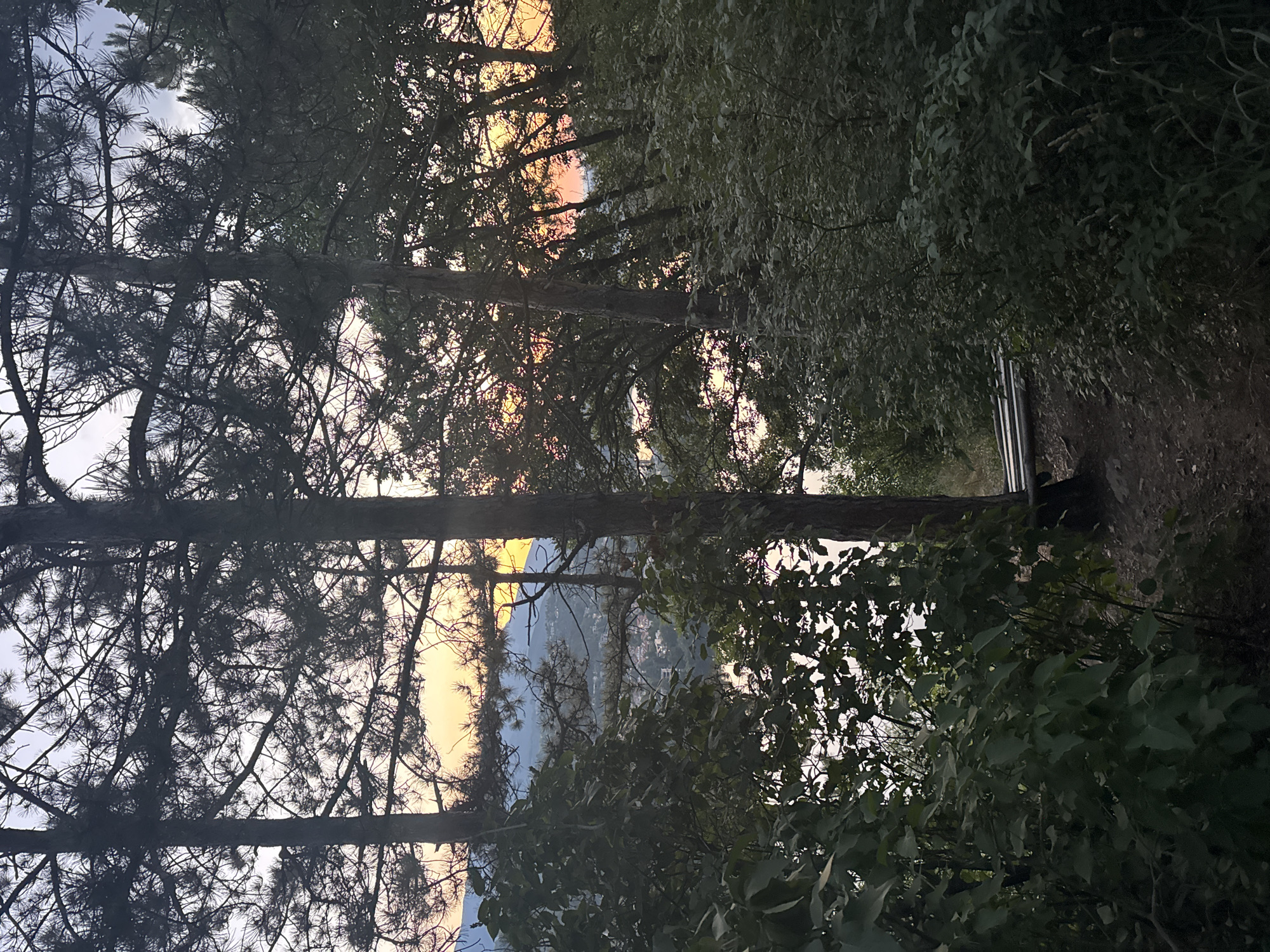 The image shows a view through pine trees overlooking a body of water and a town in the distance. The sky is a mix of pale blue and pink hues from a sunset. In the foreground, there is lush green foliage and a dirt path leading to a wooden bench. The town appears to be nestled among hills on the other side of the water. The overall impression is one of a peaceful, natural setting with a touch of urban life visible in the background. This scene is consistent with views from the hills surrounding Pancharevo Lake, a popular recreational area near Sofia, Bulgaria, known for its scenic beauty and hiking trails.