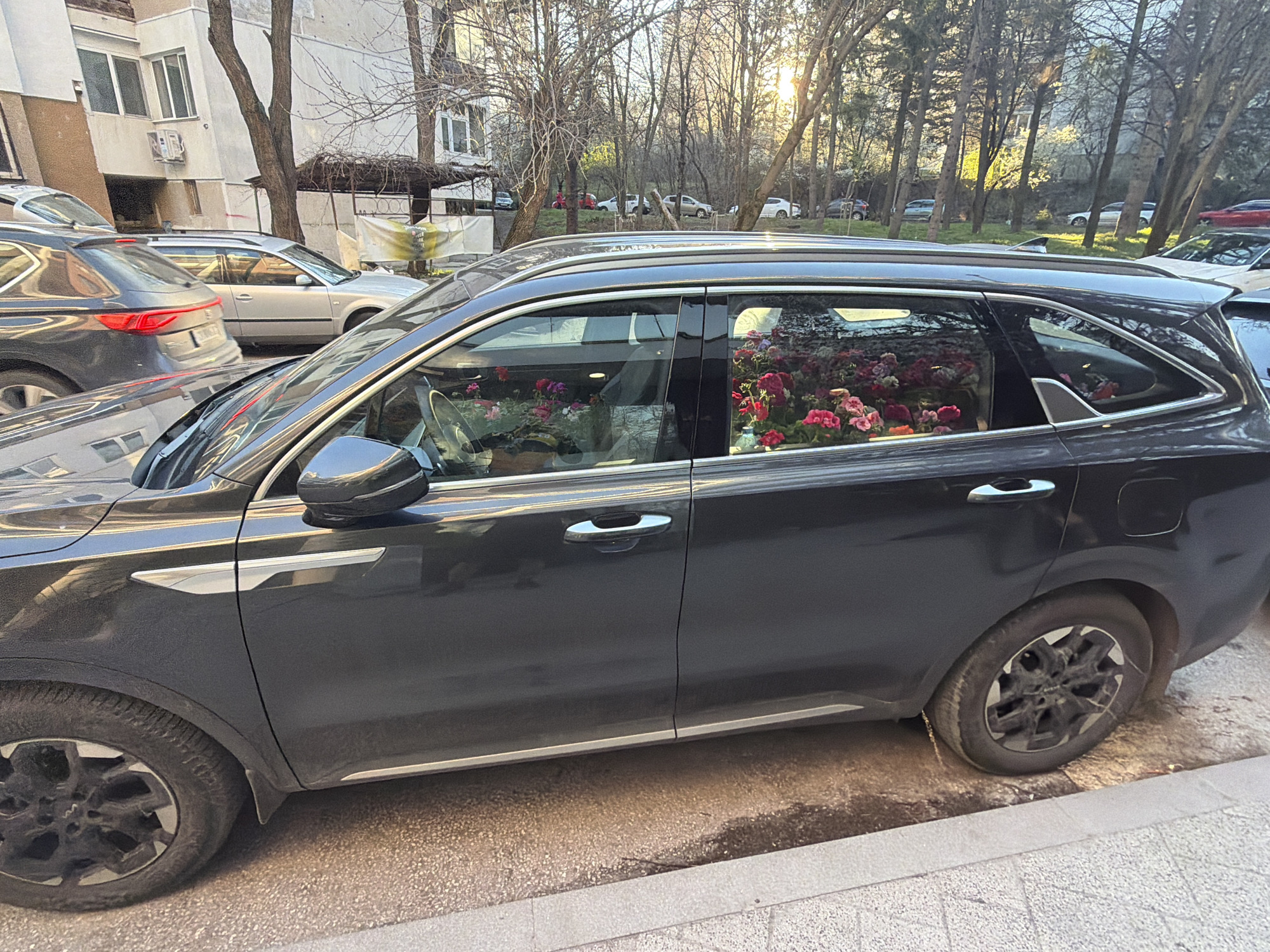 The image shows a black SUV parked on the street in an urban area, likely in Sofia, Bulgaria, based on architectural styles. The car's interior is filled with numerous red and pink geraniums, densely packed. Other cars are parked nearby, and buildings and trees are visible in the background. The scene is photographed during daylight hours, with a slightly overcast sky and warm lighting. The overall impression is of an unusual display of flowers within the vehicle.