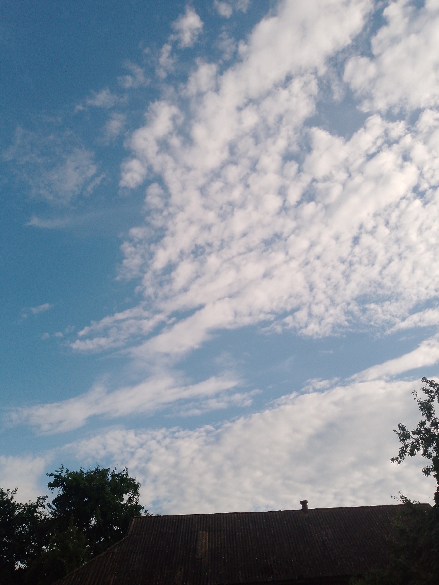 The image shows a sky filled with scattered white clouds against a blue background. In the foreground, a dark, corrugated metal roof of a building is visible. A small, brick chimney protrudes from the roof. To the left and right of the roof, the dark green foliage of trees is partially visible, suggesting a rural or suburban setting. The scene is likely captured in Ustyvytsia, Ukraine, as per the prompt. There are no people or animals depicted in the image. The overall atmosphere is overcast yet bright, with the clouds suggesting a dynamic weather pattern.
