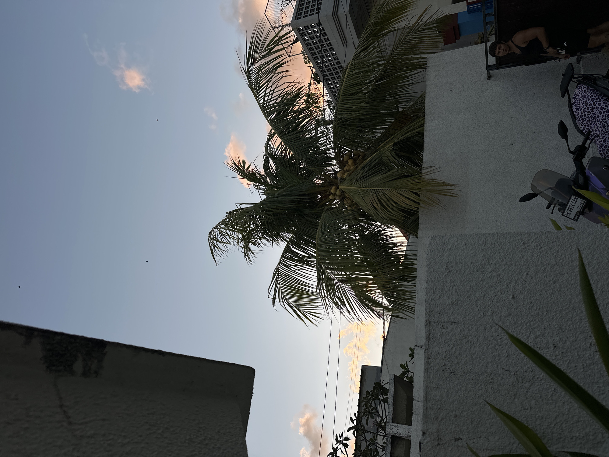 A man stands next to a motorcycle in front of a white wall. A palm tree with coconuts is visible behind the wall, with buildings and the sky in the background. The sky shows some pink and orange clouds, suggesting it is sunset or sunrise. There are power lines crossing the image. The man is wearing a black tank top and black shorts. The motorcycle is parked in front of a dark metal gate. The overall scene appears to be an outdoor area in a residential or urban setting.
