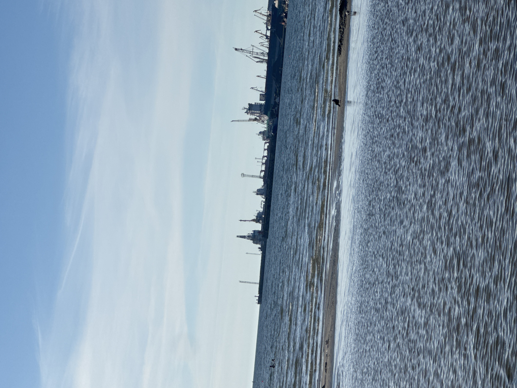 The image depicts a coastal scene with a body of water in the foreground and a large industrial port in the background. The sky is clear blue with some wispy clouds. In the shallow water near the shore, two figures are visible swimming or wading. A bird stands on a sandy strip of land at the water's edge. The port features several large cargo ships, cranes, and other industrial structures. The scene is likely located in Tallinn, Estonia, given the presence of such a port and the typical coastal environment. The overall impression is one of a functional port area adjacent to a recreational or natural coastal area.