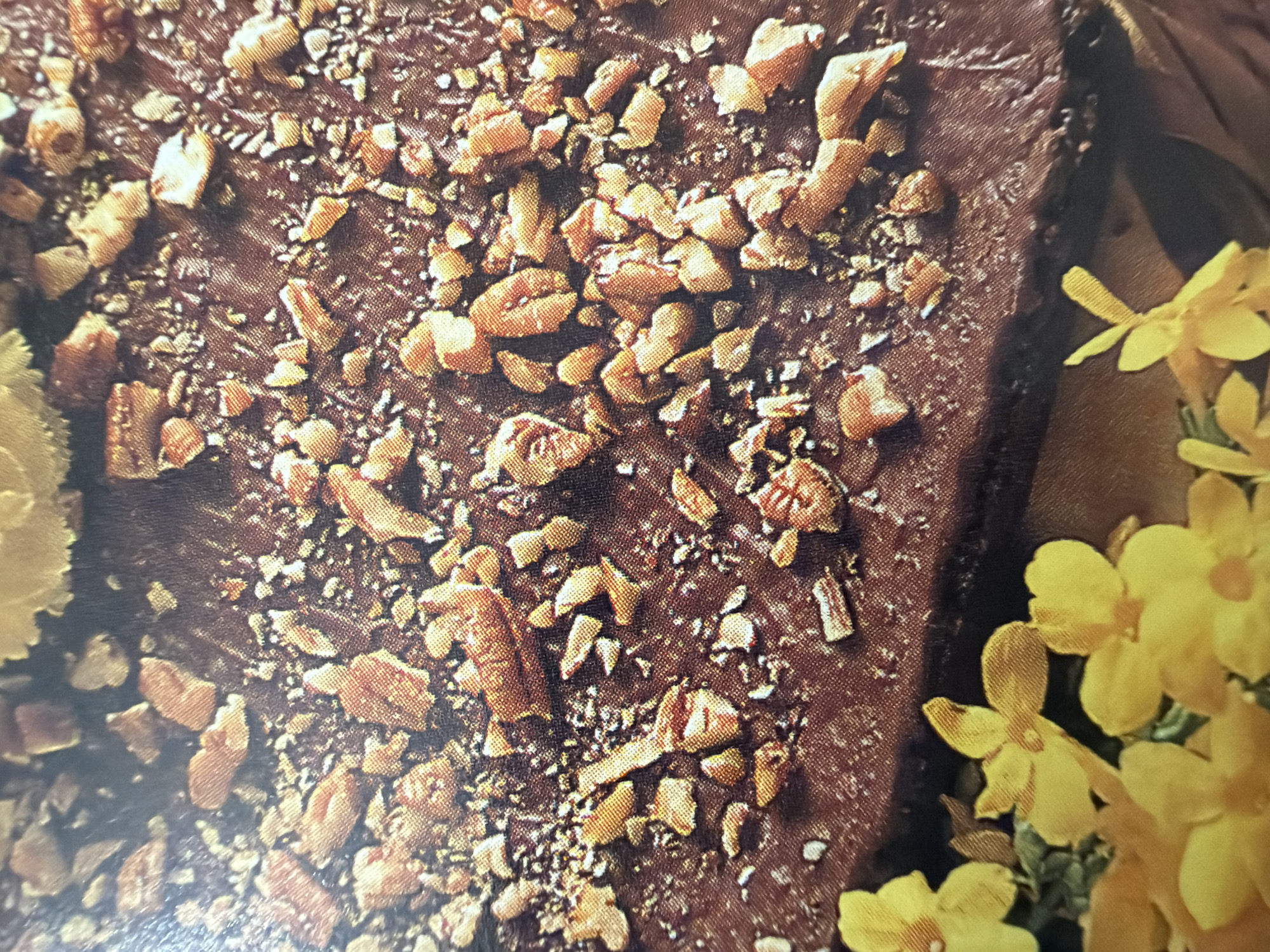 The image shows a close-up view of a dark, rich-looking chocolate confection, possibly a cake or fudge, generously topped with chopped nuts, likely pecans. The nuts are scattered unevenly across the surface, with some appearing larger and more defined than others, and a fine dusting of what looks like sugar or cocoa powder also present. In the foreground, and partially obscuring the confection, are several bright yellow flowers with small, darker centers. The background is dark and out of focus, emphasizing the textured surface of the confection and the vibrant color of the flowers. The lighting suggests an indoor setting, with highlights on the glossy chocolate and the petals of the flowers. There is no indication of a specific city or location.