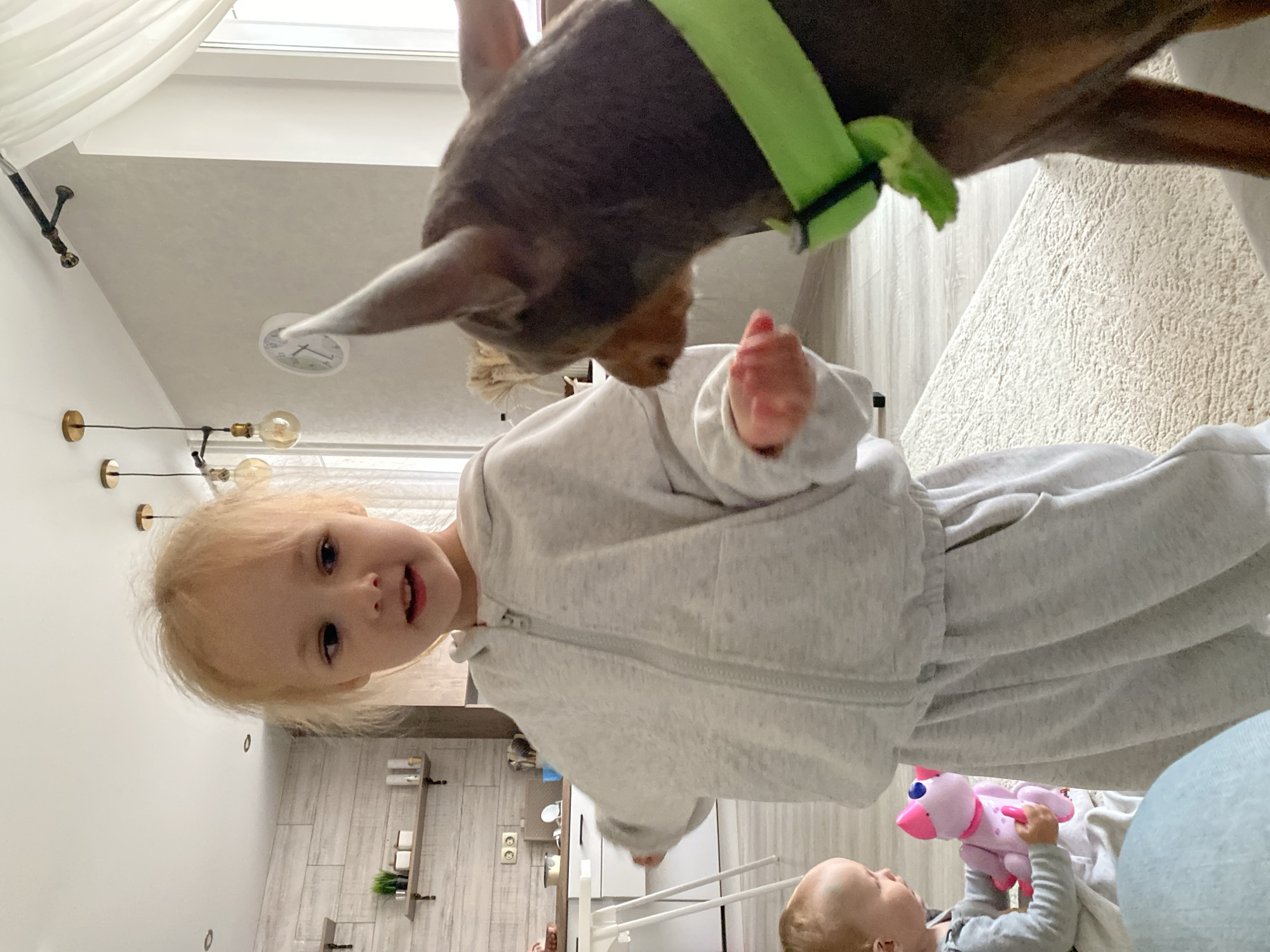 A young girl with blonde hair, wearing a gray sweatshirt, is in close proximity to a brown dog with a green collar. A baby is seen in the lower portion of the image holding a pink toy. The interior appears to be a modern residence with light walls and wooden floors. A clock and a light fixture are visible on the wall. A section of a kitchen with white cabinets and a drying rack is present in the background. The image was likely taken indoors. There is no evidence to confirm that the location is in the city of Chaikovsky, Russia.
