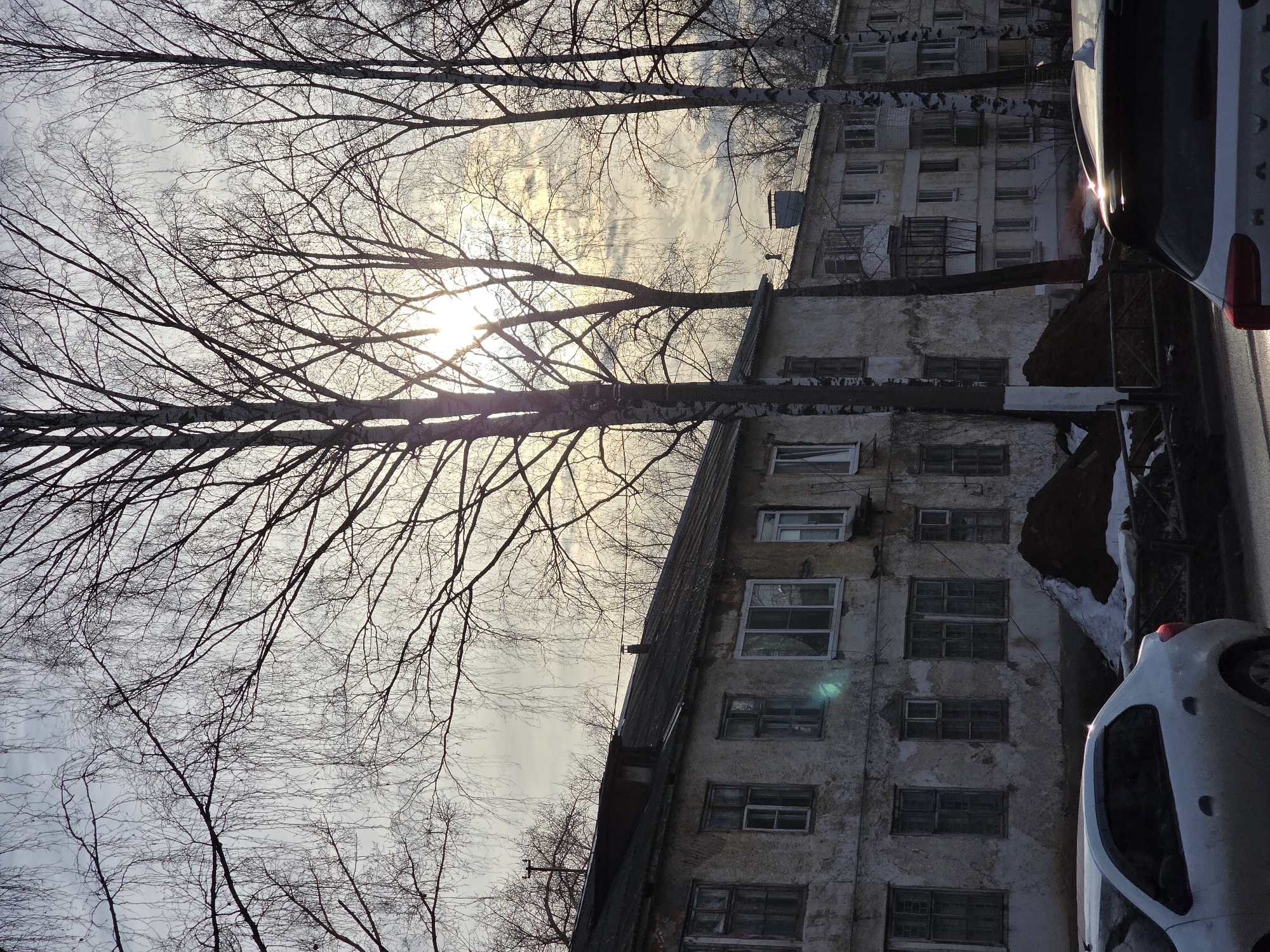 An outdoor urban scene in Chaikovsky, Russia, depicts a street during daylight with strong backlighting from a low sun obscured by clouds and bare tree branches. The upper half of the image is dominated by a dense network of leafless deciduous trees, primarily birches, silhouetted against a pale, overcast sky. The sun, visible as a bright glare, casts light through the branches, creating a lens flare on the facade of a building and on the rear of a vehicle.
In the midground, a two-story residential building with a heavily weathered and dilapidated facade, possibly stucco, runs horizontally across the left and center. It features multiple windows, some with dark frames, others with newer white frames. The roof is dark and appears to be corrugated or shingled, with a chimney visible. To the right and behind this structure, a multi-story apartment building with numerous windows and at least one metal-barred balcony is partially visible.
The foreground shows a paved road. On the left, the rear quarter of a white sedan is partially visible, facing right. On the right, the rear of a white Haval SUV is visible, facing left, with a distinct lens flare reflecting off its roof. Between the road and the buildings, a strip of ground contains remnants of melted snow, dark soil, and a low, dark metal fence or barrier. A prominent pile of dark earth and debris is situated near the fence, adjacent to the dilapidated building. No individuals are present in the image.