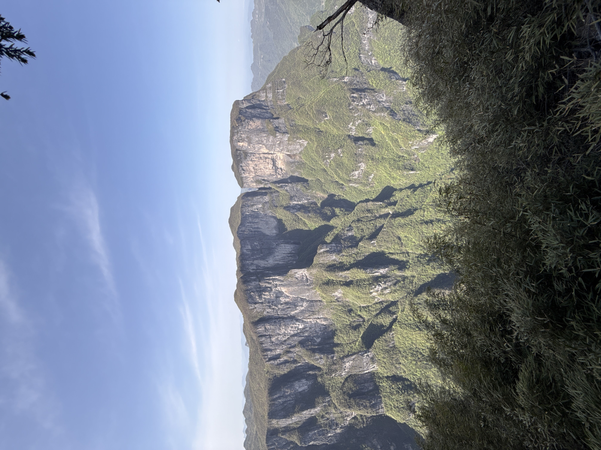 This image captures a breathtaking panoramic view of a vast, rugged mountain range under a clear blue sky, seen from a high vantage point. The scene is dominated by a long, undulating ridge of steep-sided mountains stretching horizontally across the mid-ground. These mountains feature imposing grey rock faces, some appearing smooth and others craggy, interspersed with lush green vegetation that covers slopes and flatter plateaus. Shadows cast by the sun highlight the contours and immense depth of the terrain. Fainter mountain layers recede into a hazy distance on the horizon, emphasizing the expansive scale.
The sky in the upper portion of the image is bright, clear blue, with a few faint, wispy clouds indicating fair weather. In the foreground, on the right side and partially in the upper left corner, dark green foliage, likely from trees or dense shrubs, frames the composition. A bare, dark branch extends from the upper right, adding to the natural, untamed character of the environment.
The scene is brightly illuminated by daylight, suggesting it is late morning or early afternoon. The weather is clear and sunny. No people, artificial structures, or visible text are present in the image. The imposing scale of the mountains and the verdant natural beauty evoke a sense of awe and tranquility. Given the context of Yongding District, China, the landscape is consistent with the mountainous, often karst, topography found in that region.