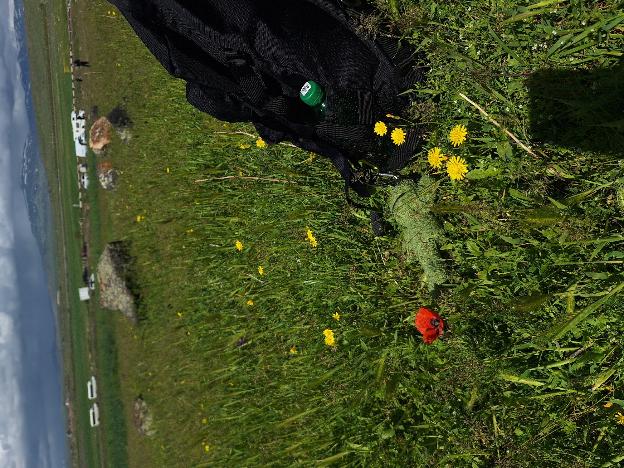 A medium shot shows a black backpack with a green water bottle in its side pocket, resting on a green grassy field scattered with yellow dandelions and a single red poppy flower. The background includes an open landscape with a cluster of white vehicles and light brown boulders, leading to a horizon with mountains under a cloudy sky. This scene appears to be in Tlik, Armenia.