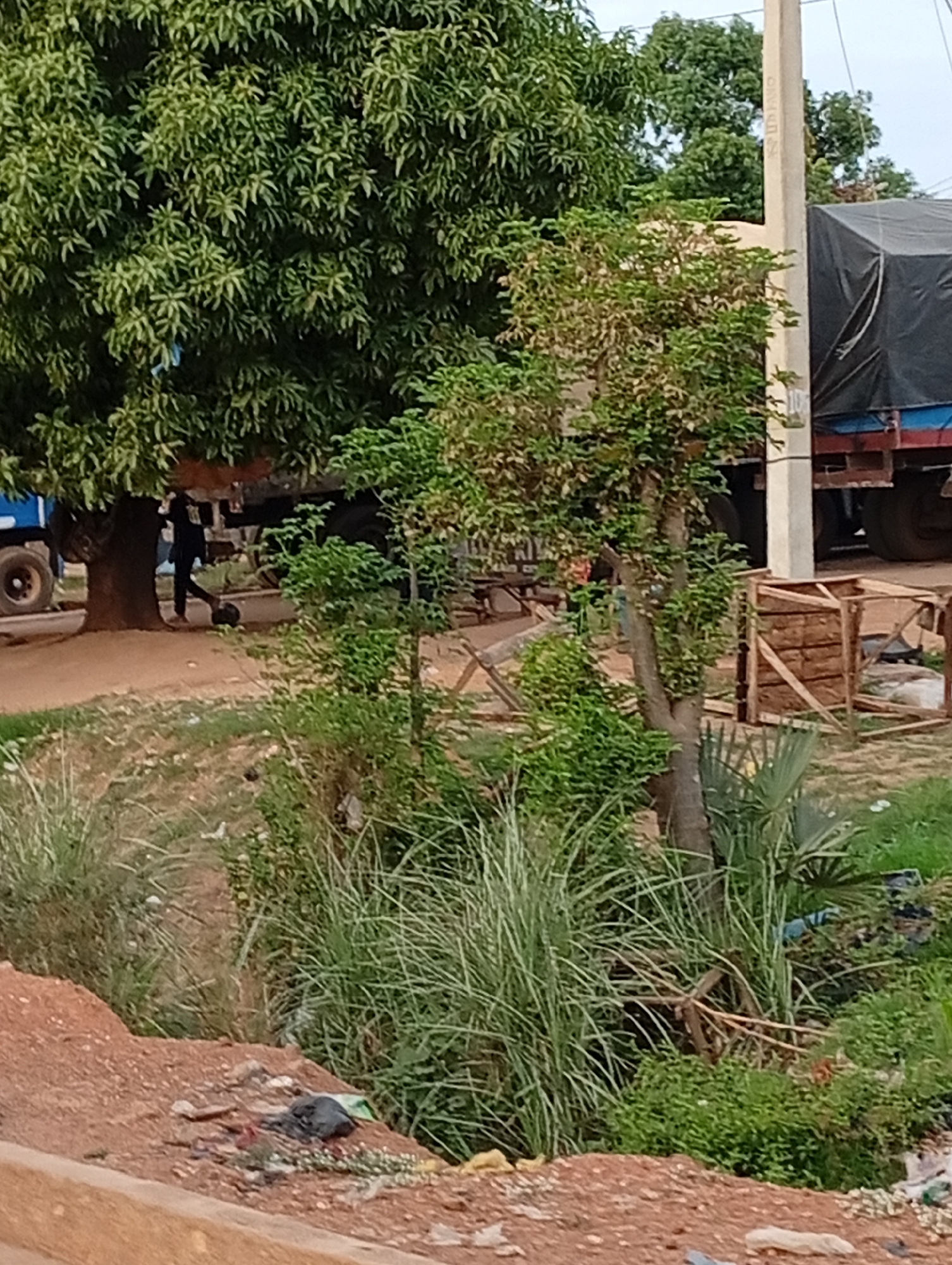 The image shows a roadside scene in Nassarawa, Nigeria. A large tree dominates the left side of the frame. A person is standing near the tree, close to a truck. Another person appears to be working on the truck, which is partially obscured by the tree. To the right of the tree, there is a wooden crate. In the foreground, there is overgrown grass and vegetation lining what appears to be a ditch or gully. Debris and trash are visible scattered along the edge of the ditch. A cement barrier is visible in the bottom of the frame. A utility pole stands next to the truck. The sky is overcast.