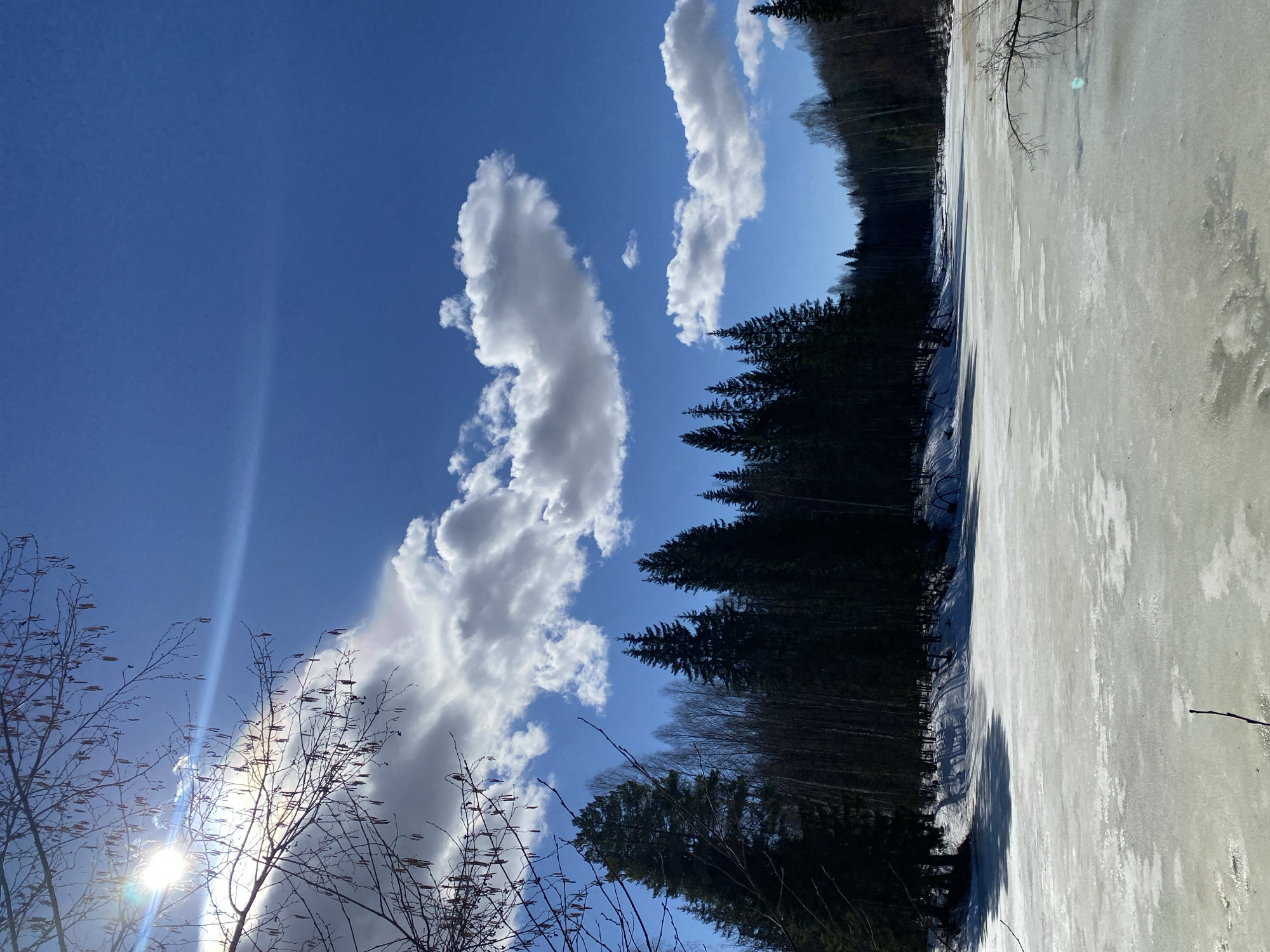The image shows a partly frozen landscape in Ural'skoe, Russia. The sky is blue with scattered cumulus clouds. A forest of coniferous trees lines the edge of a large body of water covered with ice and snow. In the foreground, bare tree branches are silhouetted against the sun, which is low in the sky and creating a bright glare.