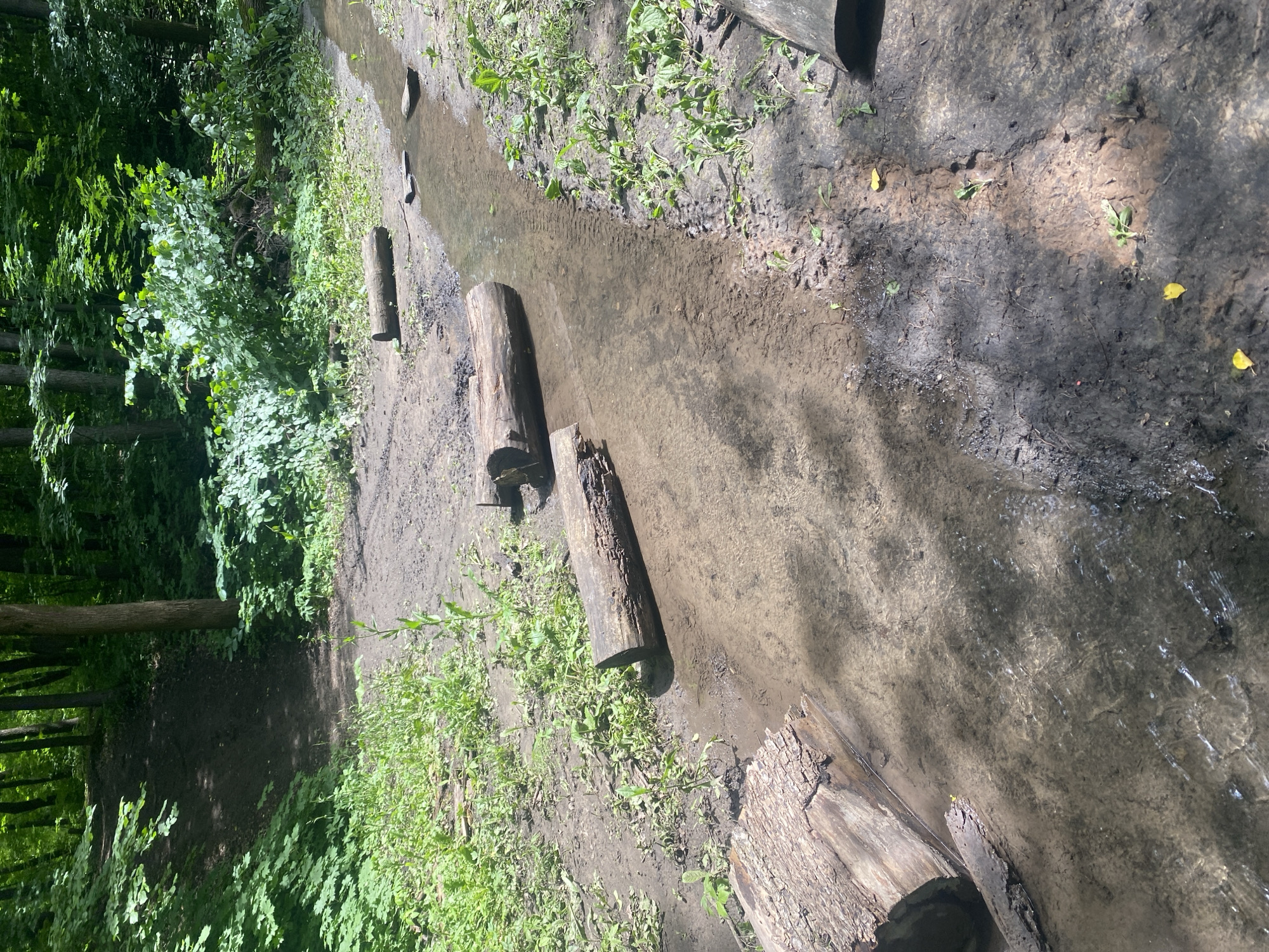 This image shows a natural stream bed in a wooded area, likely a park or forest in Samara, Russia. The stream is shallow with clear water flowing over a muddy bottom. Several logs of varying sizes are placed within and alongside the stream, suggesting a man-made element such as a rustic bridge or a natural play area for children. The surrounding environment is lush and green, with trees, undergrowth, and grasses indicating a healthy ecosystem. The ground is a mix of soil and mud, with some fallen leaves. There are no people visible in the image. The lighting suggests it is daytime with sunlight filtering through the tree canopy, creating dappled shadows on the ground and water.