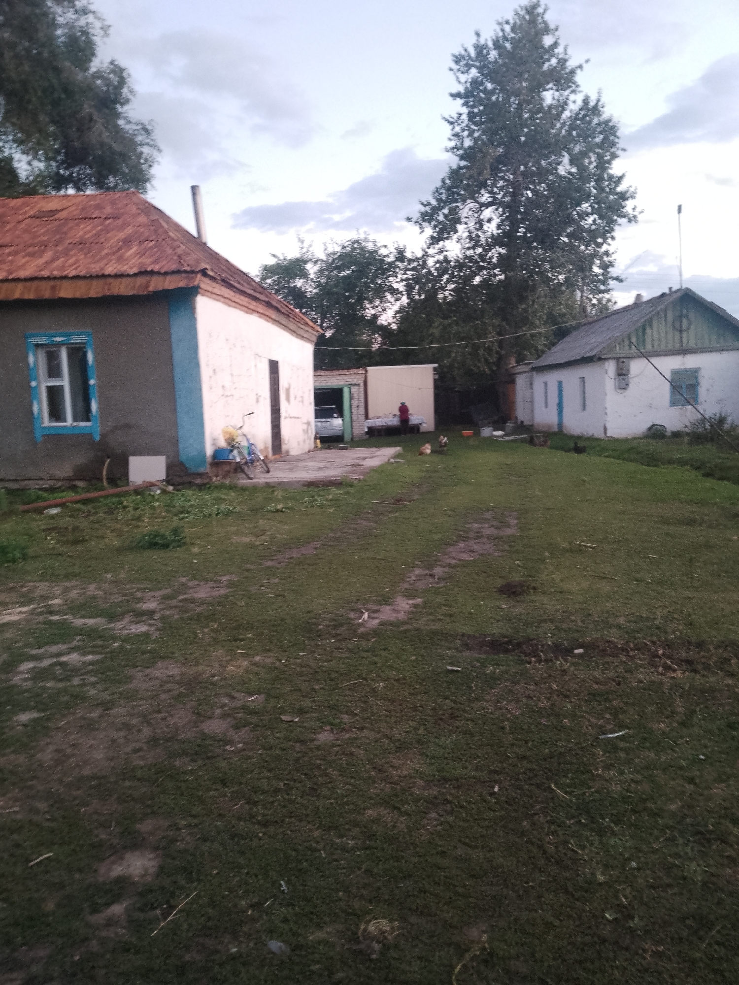 The image depicts an outdoor scene in the village of Keldemurat, Kazakhstan, likely during dusk or early morning given the soft, diffused light and overcast sky. The foreground is dominated by a patch of uneven, grassy ground with some bare soil areas. A dirt path or track runs through the center of the yard.
To the left, a small, light-colored house with a rusty corrugated metal roof and blue trim around a window is visible. A bicycle with a yellow bag attached is leaning against the house. Adjacent to this house is what appears to be a portable structure or shed, beige in color, with a person wearing a red garment standing near its entrance.
In the middle ground, there is a garage with an open door, revealing the rear of a vehicle. Further to the right is another house, predominantly white with a dark-colored roof and green trim. This house has a blue window and what appears to be an air conditioning unit mounted on the wall. Several chickens are scattered across the grassy area between the houses. A tall, leafy tree stands prominently behind the white house, and other trees are visible in the background. The overall impression is of a rural or semi-rural residential area.