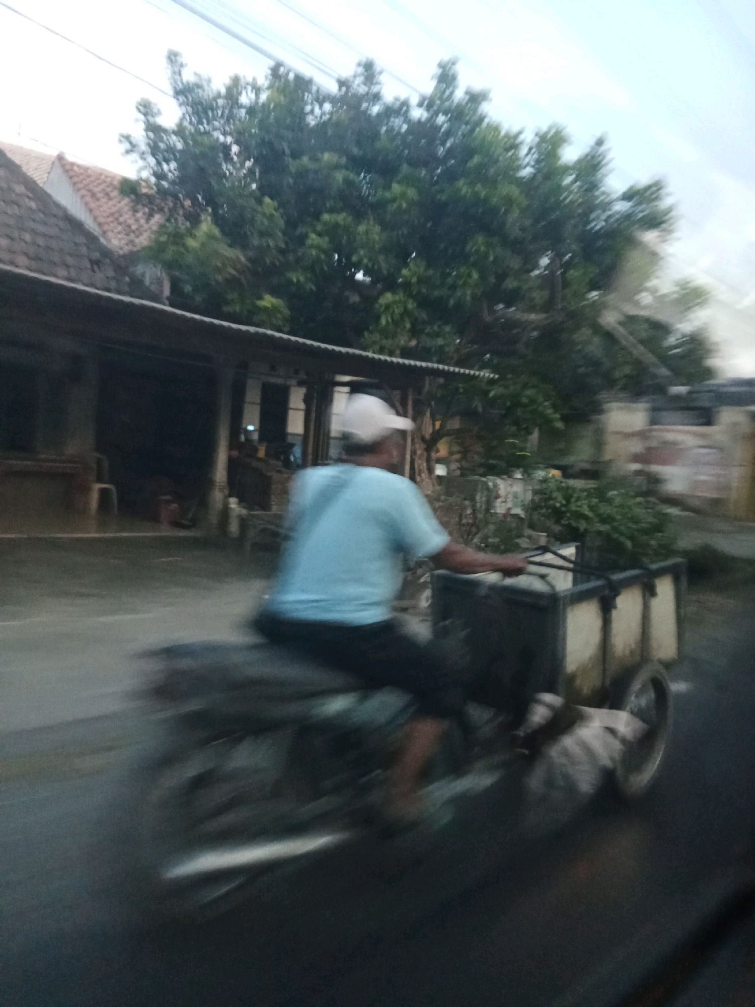 In Mojokrapak, Indonesia, a person is riding a motorcycle with a trailer. The person, wearing a light blue t-shirt and a white cap, is blurred due to motion. The trailer is filled with what appears to be green vegetation. The motorcycle is on a paved road, with a building and trees in the background. The building has a tiled roof and a covered outdoor area. The sky is overcast. The overall scene is blurry, indicating movement.