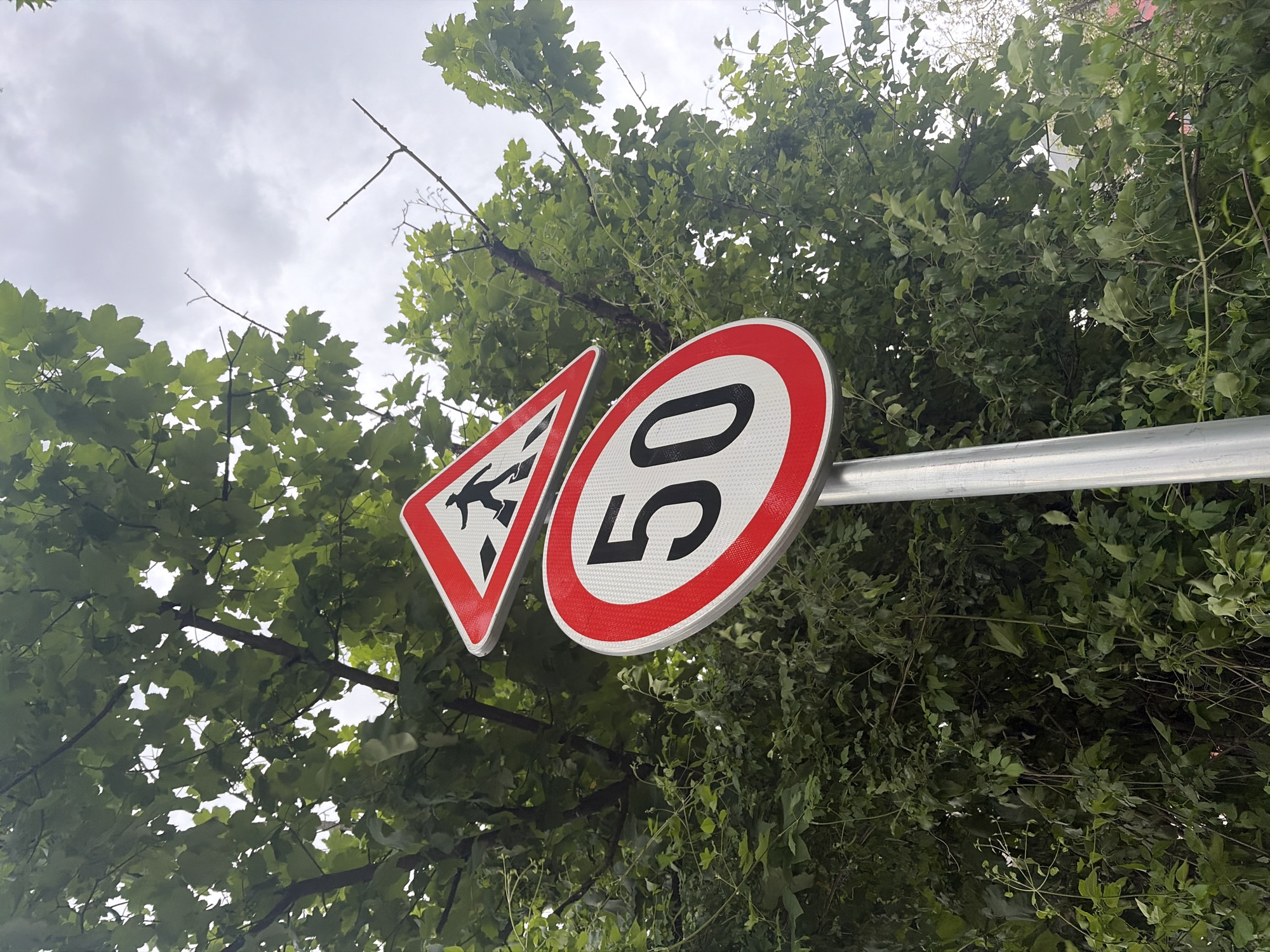 The image shows a traffic sign in Veliko Tarnovo, Bulgaria. The sign includes a speed limit of 50 (presumably kilometers per hour) and a pedestrian crossing warning. The sign is obscured by tree foliage. The sky is overcast.