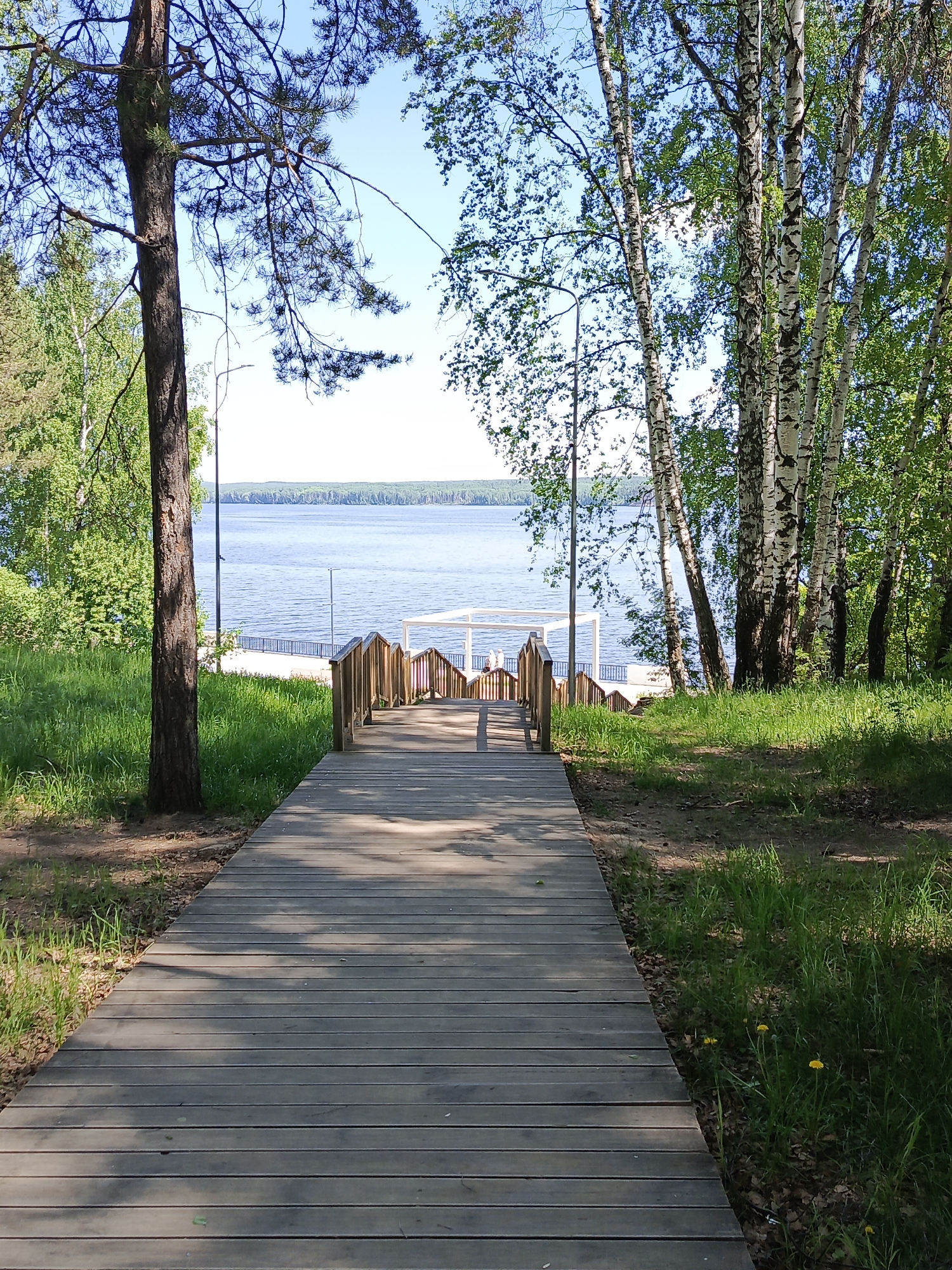 The image depicts a wooden boardwalk leading downhill towards a body of water, possibly a lake. The location is likely a park or recreational area in the city of Chaikovsky, Russia, based on the provided context.
The boardwalk is constructed of wooden planks and has wooden railings on either side where it transitions into steps. The boardwalk is shaded by trees.
The lake is calm and extends to the horizon, with forested land visible on the opposite shore. The sky is clear and blue.
Trees line both sides of the boardwalk. A tall evergreen tree stands to the left. Birch trees with distinctive white bark are visible on the right. The ground is covered with grass, and fallen leaves, and a few yellow dandelions can be seen. A streetlight is also visible.
Beyond the boardwalk at the bottom of the steps, a white structure or pergola is visible on the beach or waterfront area.