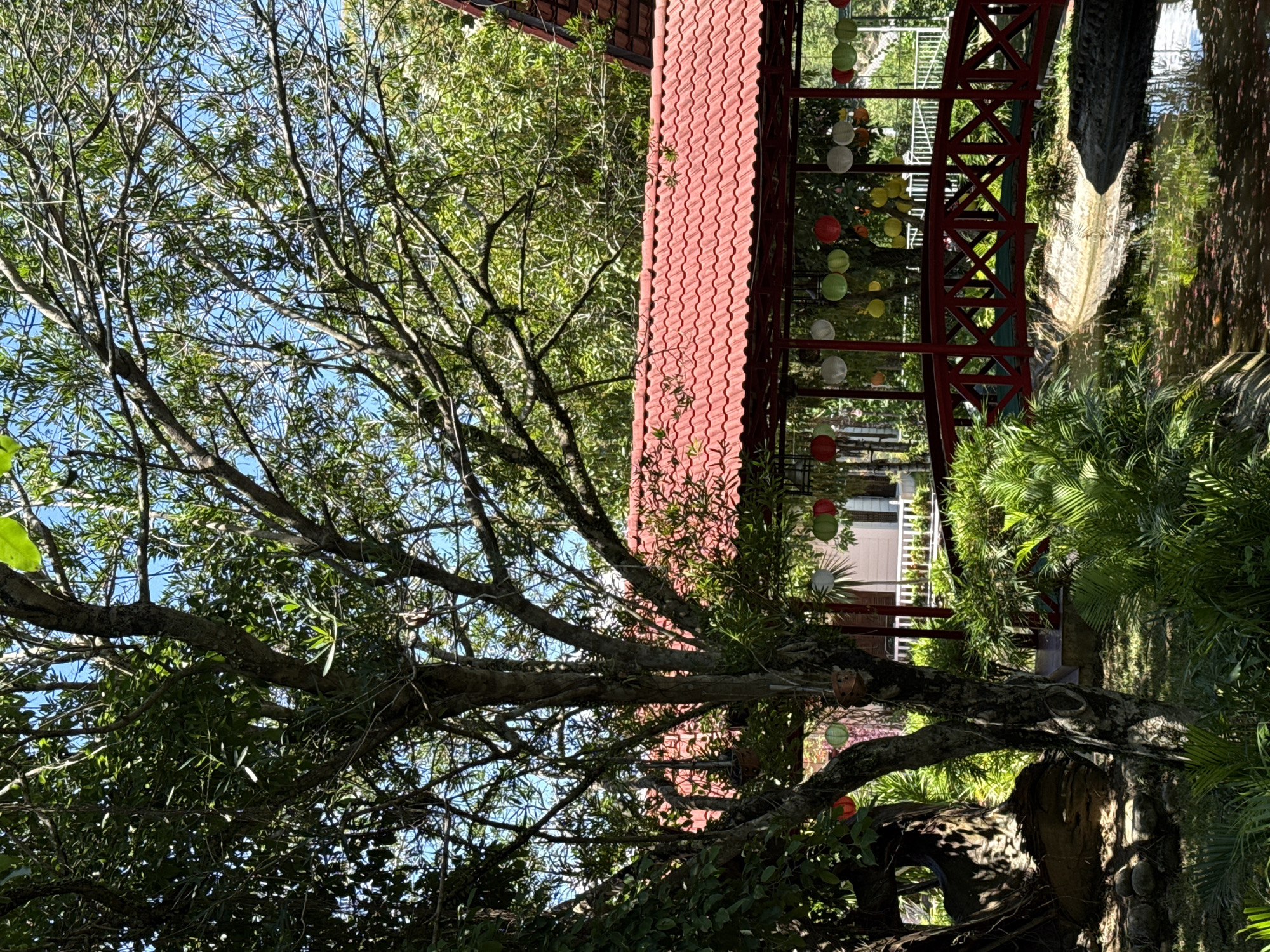 This image depicts a tranquil garden scene in Nam Khanh Vinh, Vietnam. A prominent feature is a vibrantly red, arched bridge spanning a narrow, shallow waterway. The bridge is decorated with decorative lanterns of various colors, including red, white, and green, suspended from its roofline.
Overhead, a covered walkway with a red tiled roof extends across the scene, supported by red posts. Lush green foliage, including ferns and trees, surrounds the bridge and walkway, creating a verdant atmosphere. Sunlight filters through the leaves, casting dappled shadows on the ground. In the background, a white picket fence is visible, hinting at a larger property or park. The water in the canal is partially covered with fallen leaves, giving it a reddish-brown hue. There are no people visible in the image. The overall impression is one of a peaceful, well-maintained outdoor space.