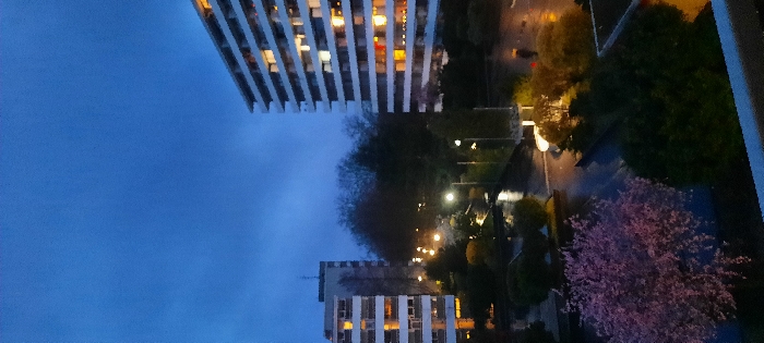 The image presents an elevated view of a residential area in Kerpen, Germany, captured during dusk or early night under an overcast, blue-grey sky. Artificial lighting from streetlights and illuminated windows of surrounding buildings is active, with ground surfaces appearing wet and reflective, consistent with rain or recent precipitation.
Two multi-story residential buildings are prominent. A tall, white building with numerous balconies and illuminated windows dominates the right side of the frame. A second, shorter white residential building with visible illuminated windows stands on the left.
Between these structures is a landscaped courtyard featuring multiple trees and shrubs. Several streetlights illuminate paved pathways within this area, their light reflecting distinctly off the wet surfaces. In the lower-left foreground, a deciduous tree with dense pink blossoms is visible.
One individual is discernible in the middle-right portion of the image, walking on a wet paved surface while holding a bright orange umbrella.