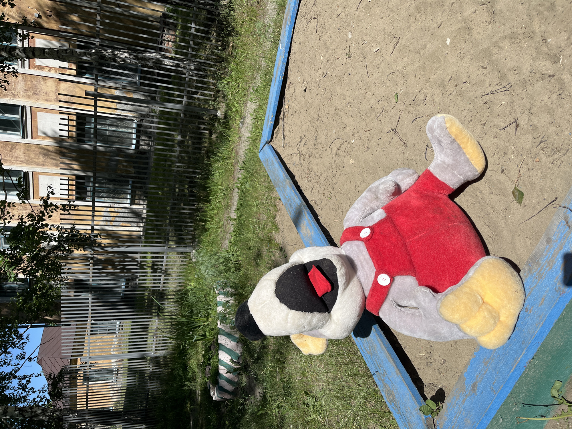 In a sandpit with worn blue and green wooden borders, a large plush toy resembling a duck-like character lies on its back. The toy is primarily grey with yellow feet and ears, wearing a red pair of overalls with white buttons. Its face is white with a black mask around its eyes and an open mouth revealing a red tongue. The sandpit is surrounded by a patchy green lawn, with a concrete tire segment painted green and white in the background. Beyond the lawn, a metal picket fence runs horizontally, separating the sandpit area from a weathered yellow building with rows of windows. The scene is set outdoors under a clear blue sky, with sunlight casting shadows from trees and the fence onto the ground and building. The location is identified as Guryevsk, Russia.