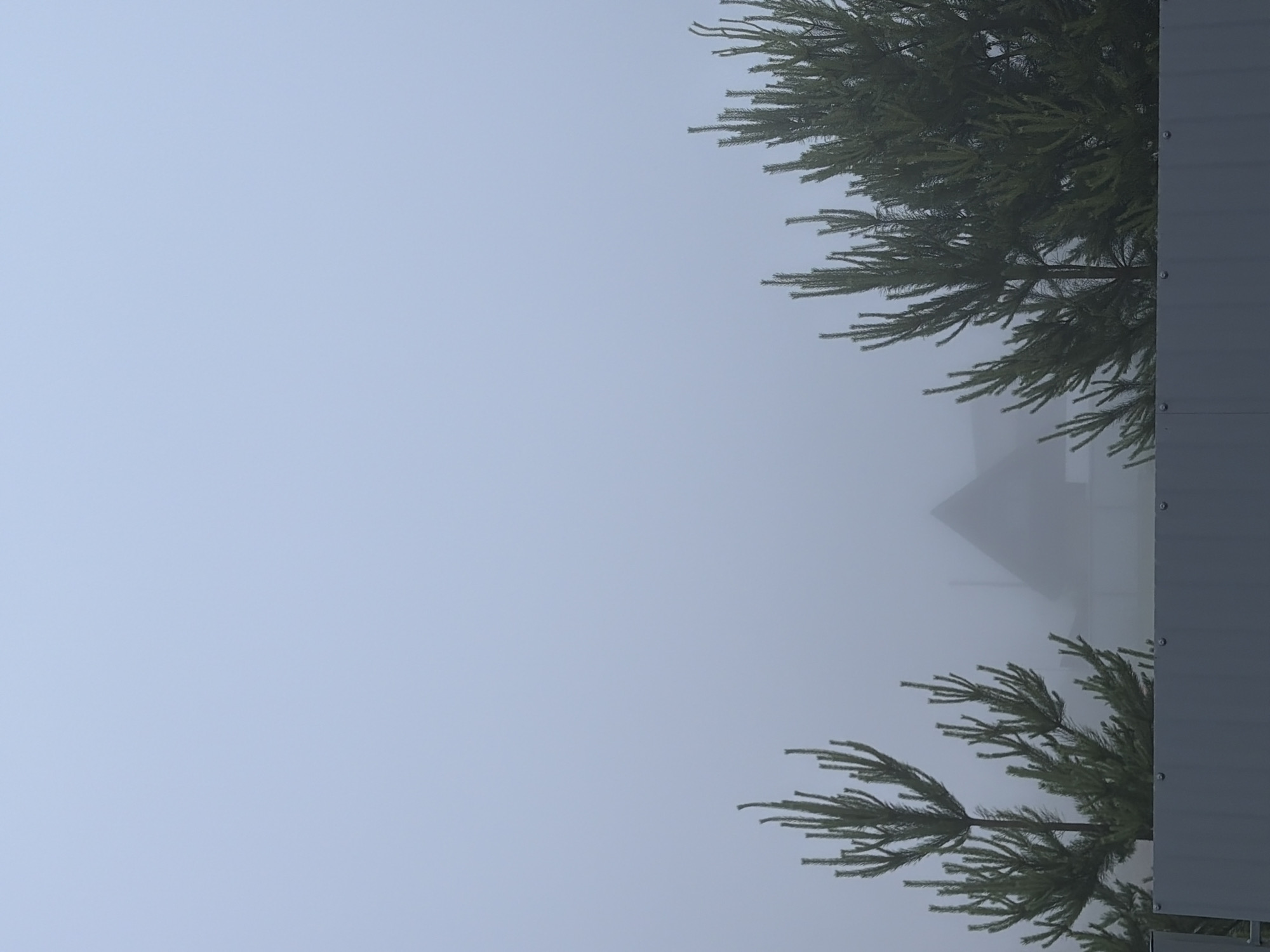 The image displays an outdoor scene characterized by dense fog. On the right side, a vertical strip of a gray, corrugated metal fence or wall with visible rivets frames the composition. Overlapping and extending from the right are prominent branches of dark green evergreen trees, likely spruce or pine, with their needles clearly visible. One cluster of branches fills the upper right corner, while another section is positioned towards the lower right.
The left and central portions of the image are dominated by the uniform, light blue-gray expanse of the fog-obscured atmosphere. Through this thick fog, in the mid-ground or background to the left of the fence, the faint and indistinct silhouette of a building, possibly a house with a pitched roof, can be perceived. Its details are heavily softened and blurred by the atmospheric conditions.
There are no people visible, and no specific activity is occurring; the image captures a static, weather-affected landscape. The heavy fog indicates low visibility and suggests a cool or damp environment, consistent with overcast conditions. The time of day is not precisely discernible but appears to be daytime due to the ambient light, albeit diffused. The presence of evergreen trees and the simple building structure are consistent with a natural or semi-rural setting in Chaikovsky, Russia. No text is visible in the image.