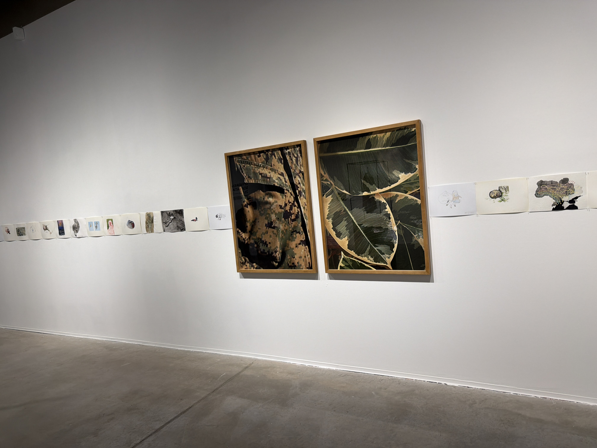 A brightly lit gallery in Sofia, Bulgaria displays contemporary art. Two framed pieces hang on the wall, one with a camouflage pattern and the other with a green leaf pattern. A series of small, unframed illustrations or drawings are pinned along the wall to the left and right of the framed art. The floor is concrete. There are no people visible in the scene.