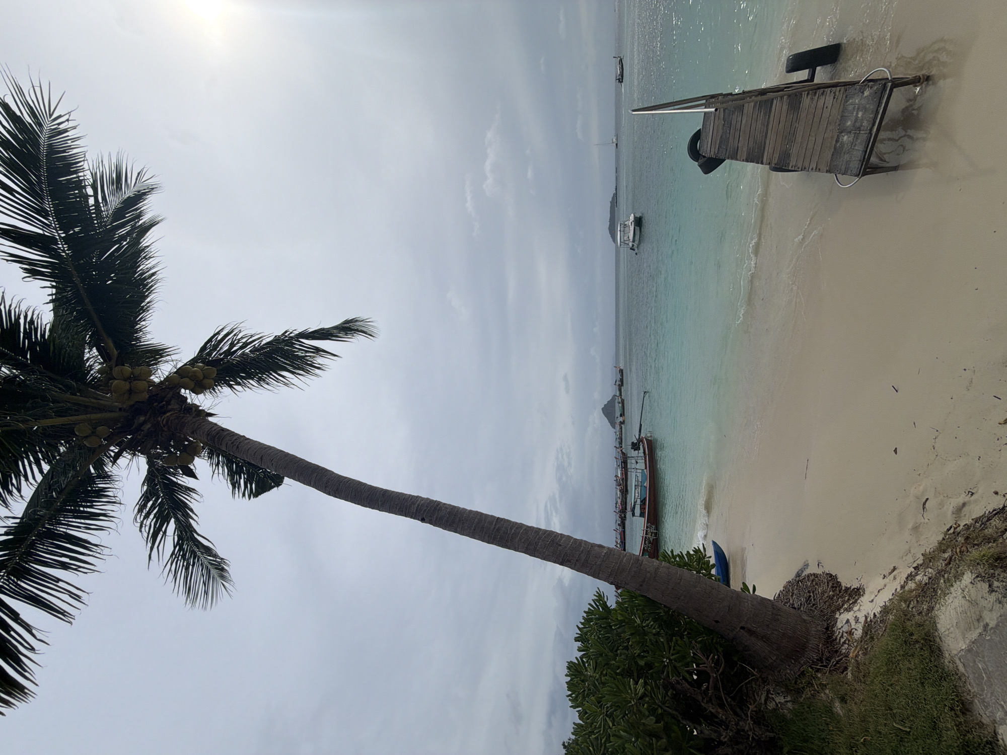 A beach scene in Ao Nang, Thailand, features a leaning palm tree in the foreground, its fronds casting shadows on the sand. To the right, a wooden jetty extends into the turquoise water. Several longtail boats are anchored offshore, with a small white boat closer to the jetty. The sky is overcast, with the sun faintly visible through the clouds. The beach itself is sandy with some greenery on the left side.