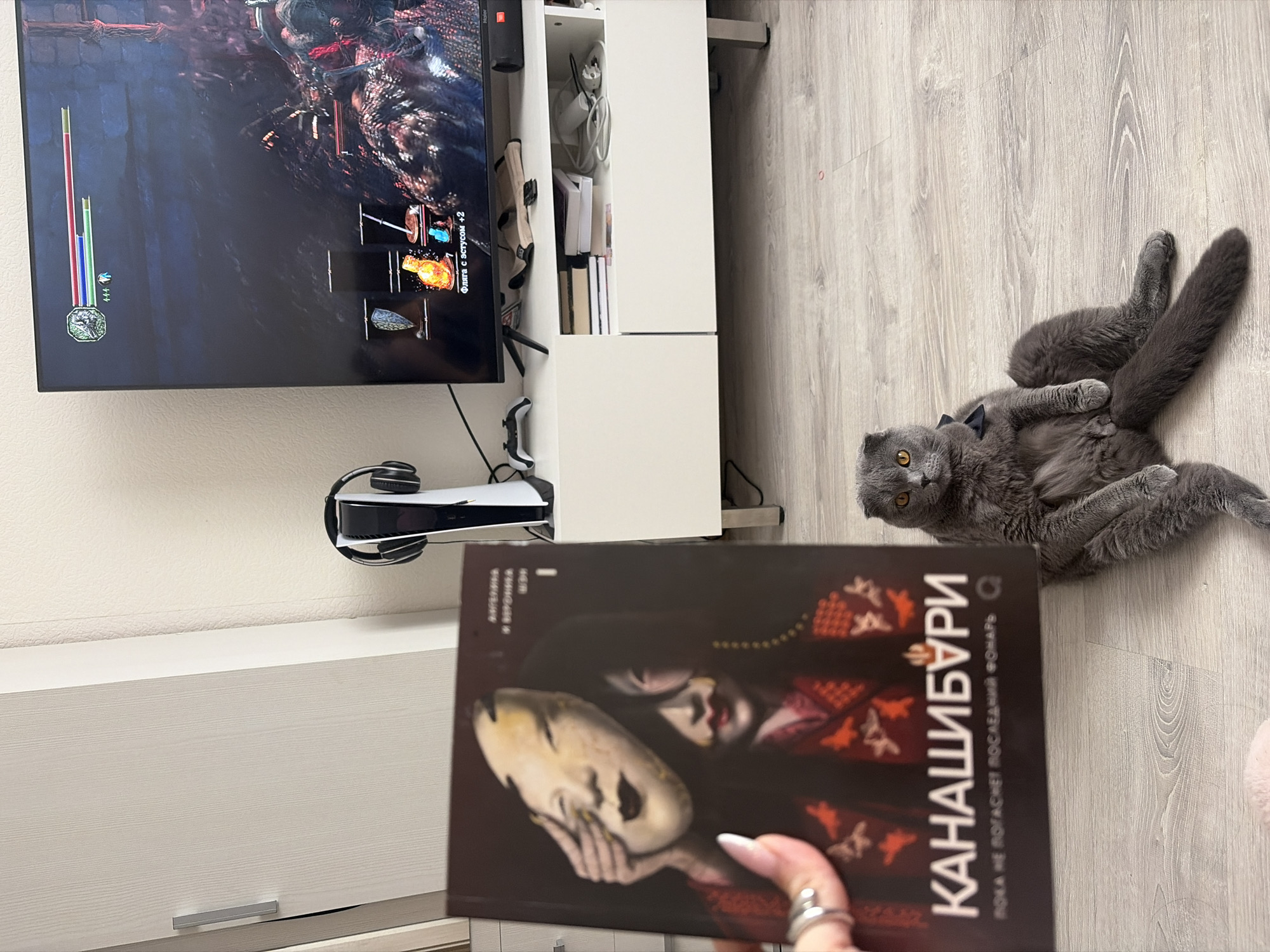 The image shows an indoor scene in a home environment. A flat-screen television is mounted on the wall, displaying a video game. Below the television is a white entertainment unit with a PlayStation 5 console and headphones. A book titled "Kanaishiburi" in Russian is held in the foreground. A gray Scottish Fold cat is lying on the wooden floor, looking towards the camera. The scene suggests leisure time activity involving gaming, reading, and a pet. There are no indications as to the location being Saint Petersburg, Russia, or any specific city.