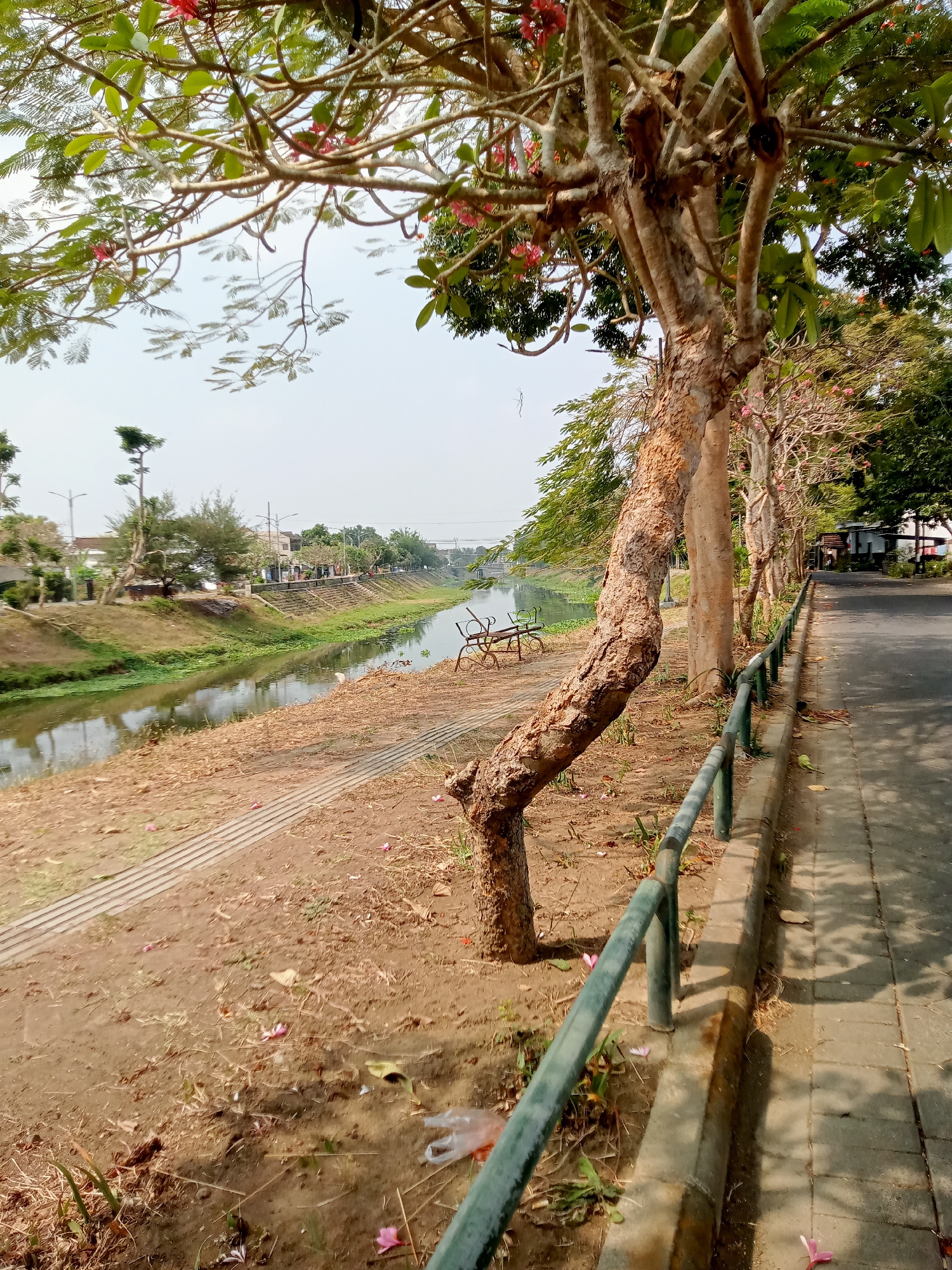 The image depicts a canal-side path in Tulungagung, Indonesia, on a bright, clear day. The foreground features a sandy embankment with scattered dry leaves and a few pink flowers. A tree with rough, textured bark and some pink blossoms stands prominently on the left, its branches reaching towards the sky. A green metal railing runs along the right side of the path, separating it from a paved walkway. The walkway, made of grey concrete tiles, is partially shaded by the overhanging trees.
Beyond the embankment, a canal flows, its water reflecting the sky and the surrounding greenery. The canal banks are lined with grass and some small trees. In the distance, across the canal, a residential area or small town is visible, with houses and a street lined with trees and streetlights. The overall scene suggests a public recreational area or a street adjacent to a waterway. There are no people visible in the image.
