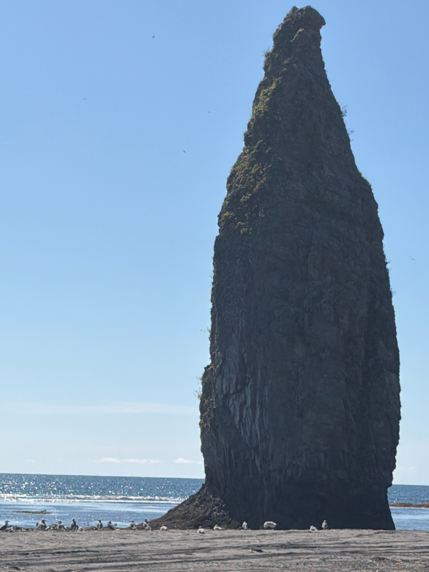 A tall, dark, jagged rock formation dominates the center and right side of the image, rising from a sandy beach. The rock is covered in patches of green vegetation. The ocean stretches across the lower portion of the image, with sunlight glinting off the water. Several seagulls are scattered on the beach in the foreground, some resting and others appearing to be standing. The sky above is clear and blue with a few faint birds visible in flight. The scene is set on a beach in Yuzhno-Kurilsk, Russia, known for its dramatic coastal landscapes.