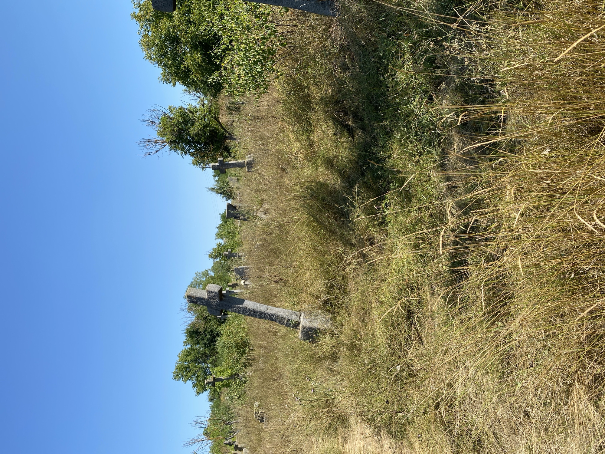 A drone shot reveals a portion of the historic cemetery in Busha, Ukraine, under a clear blue sky. The foreground is dominated by dry, tall grass and weeds, with a dirt path leading into the scene from the left. In the midground, several weathered stone crosses stand at various angles, some leaning precariously. They are surrounded by overgrown vegetation. In the background, more crosses are visible amidst trees and shrubs. The overall impression is one of an old, somewhat neglected burial ground.