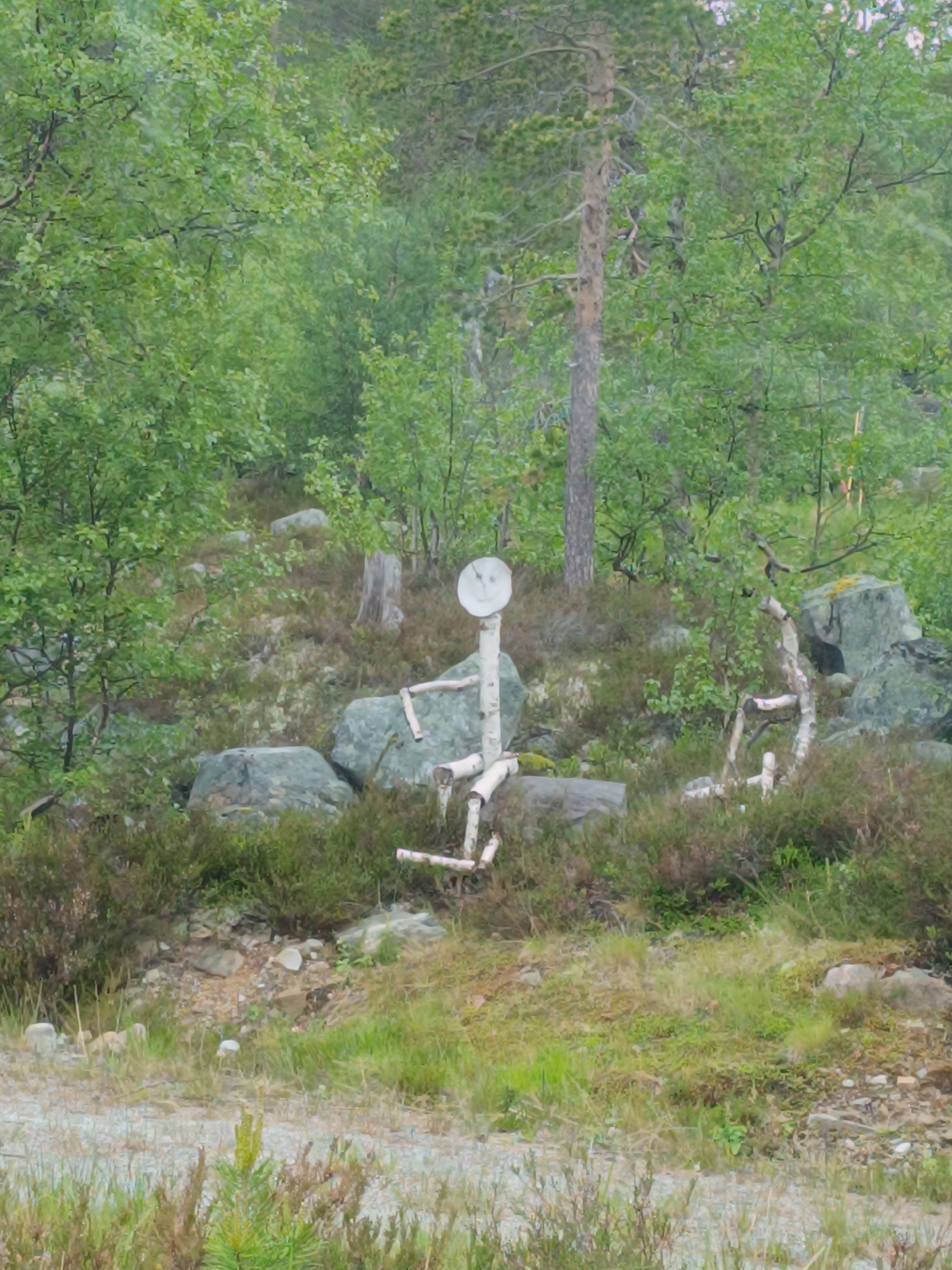 The image depicts a rustic, handcrafted figure made of birch branches, resembling a person, standing in a natural setting. The figure has a round, white head with a smiley face drawn on it. Its body is constructed from logs and branches, with arms outstretched. The figure is positioned amidst a rocky, wooded area with lush green foliage and scattered grey rocks.
The scene appears to be outdoors, likely in a forest or mountainous region, given the presence of trees, undergrowth, and rocks. The lighting suggests it could be daytime, possibly overcast, as there are no strong shadows. The overall atmosphere is serene and somewhat whimsical due to the presence of the handmade figure.
The figure itself is the central object of interest. Its construction suggests a folk art or decorative piece placed in the landscape. The surrounding environment is typical of a northern European forest, with birch trees and other greenery. The ground is covered with a mix of rocks, grass, and low-lying shrubs.
There are no people actively engaged in an activity, with the focus being solely on the static figure and its surroundings. The image captures a moment of stillness, highlighting the contrast between the man-made figure and the natural environment. No visible text is present in the image. The location context provided, Hovden, Norway, aligns with the visual cues of a northern, possibly Scandinavian, landscape.