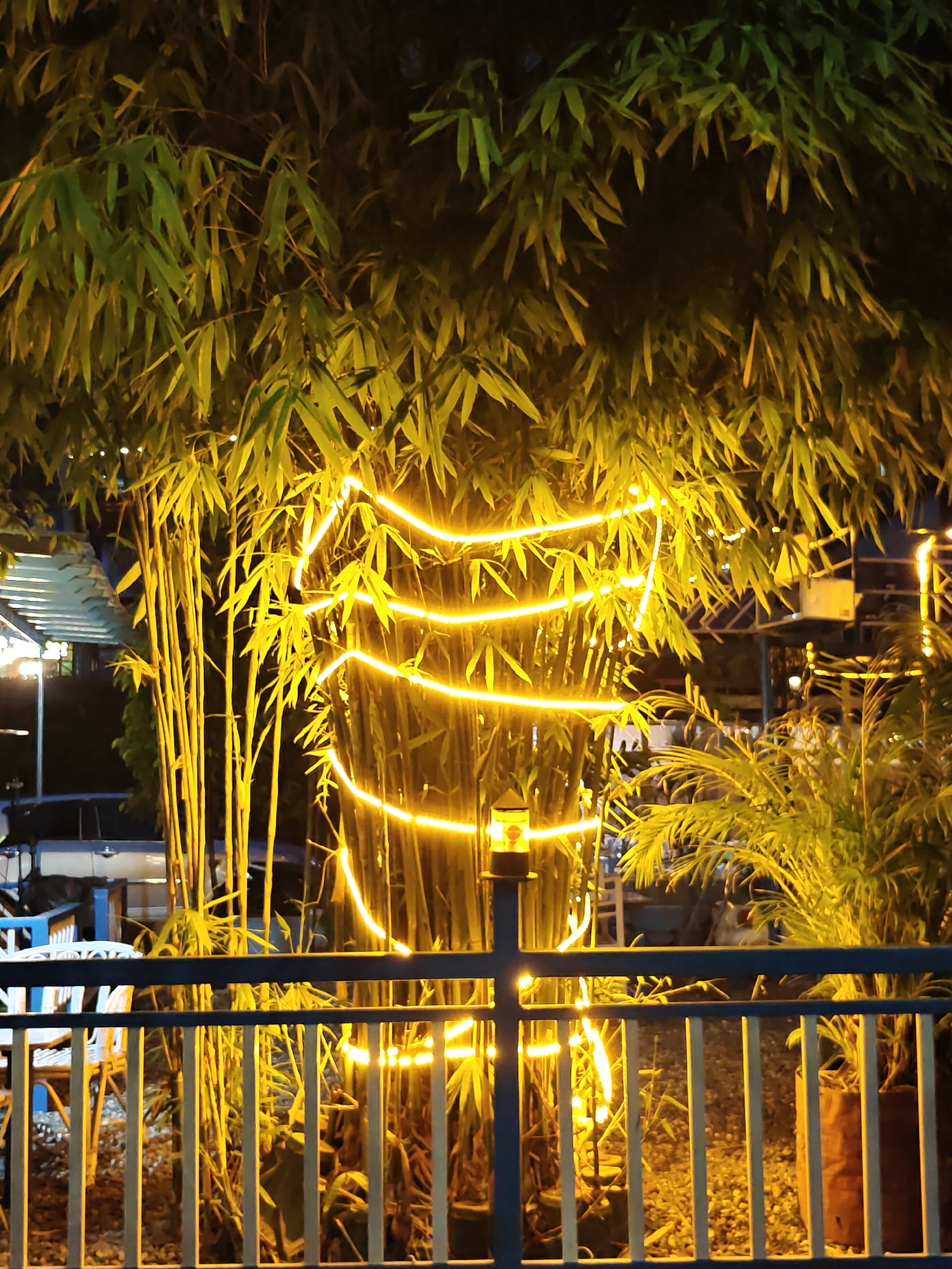 The image depicts a cluster of bamboo stalks adorned with glowing yellow string lights at night. The bamboo is dense, with its feathery leaves creating a textured canopy. The lights are wrapped around the central stalks in several horizontal loops, casting a warm, artificial glow that illuminates the bamboo and its surroundings. In the foreground, a dark metal fence with vertical white bars runs horizontally across the frame, partially obscuring the view of the bamboo. Behind the bamboo, elements of an outdoor setting are visible, including glimpses of furniture, vehicles, and other vegetation, suggesting a commercial or residential outdoor area. The overall atmosphere is festive and somewhat serene, highlighting the decorative lighting against the natural backdrop of the bamboo. The image is likely taken in Pokhara, Nepal, given the context provided.