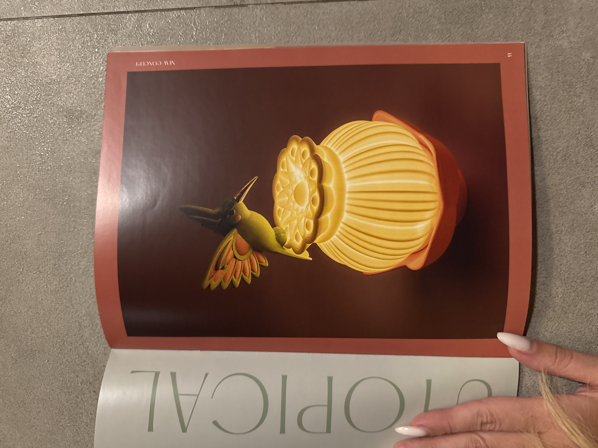 The media file captures an open magazine or book resting on a textured grey surface, likely a floor or tabletop. A person's hand, featuring white manicured nails, is visible on the bottom right, holding down the page.
The main focus is a vibrant illustration displayed on the open page, set against a dark brown background with a burnt orange border. The artwork depicts a stylized hummingbird with a green body and orange-yellow wings in mid-flight, its beak pointed towards a large, intricately designed yellow object. This object resembles a flower or fruit, featuring a ribbed, segmented texture on one side and a detailed, circular pattern on the other, partially encased by an orange-red outer layer. The illustration appears to be a 3D rendering or digital artwork, characterized by smooth, glossy surfaces and careful lighting that creates a sense of depth and form.
Visible text on the illustrated page includes "VM CONCEPT" rotated counter-clockwise in the top-left corner, and the number "11" rotated clockwise in the top-right corner. On the page beneath the main illustration, partially visible and inverted, the word "TROPICAL" is discernible.
