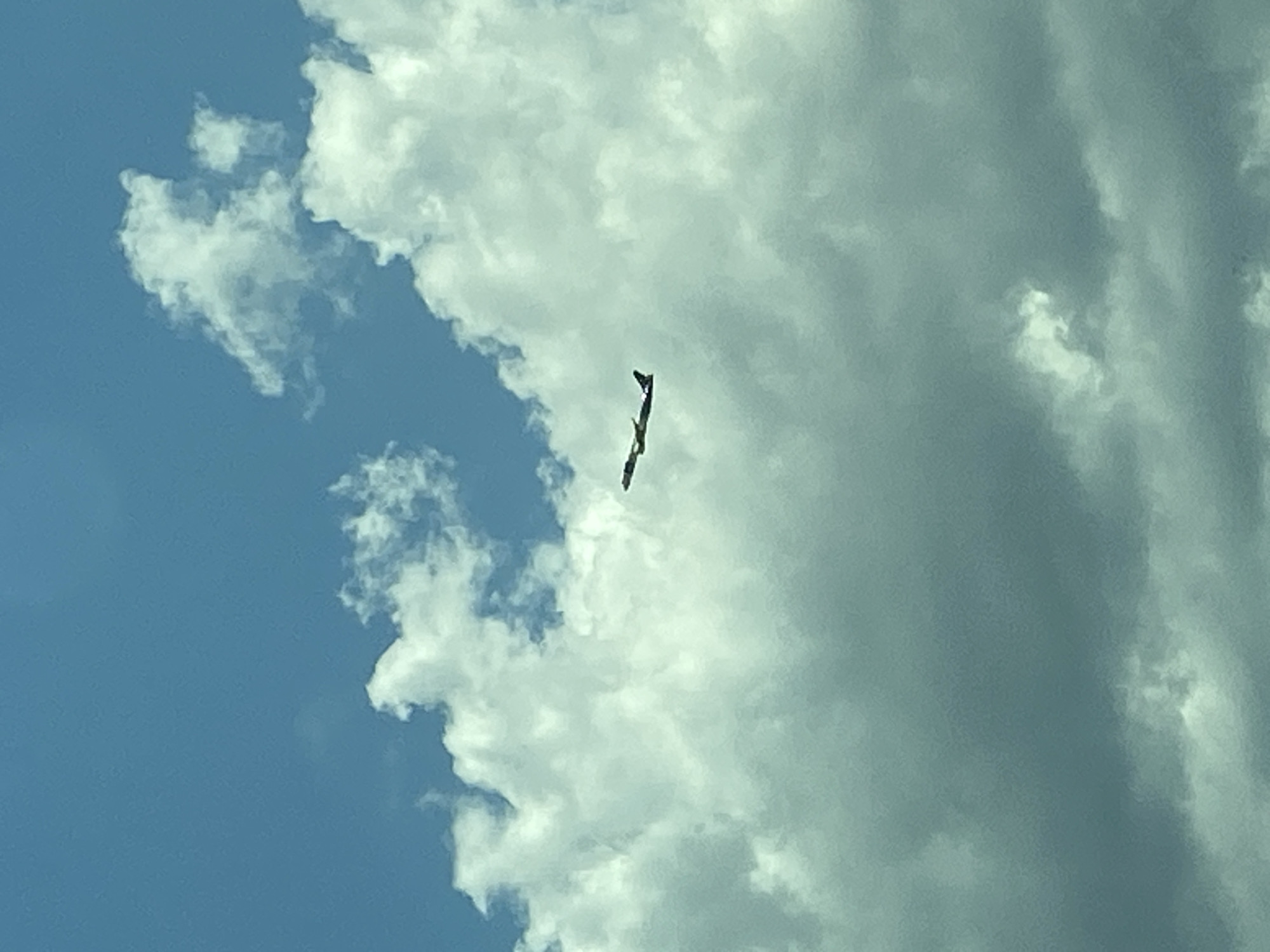 A lone airplane is captured in flight against a backdrop of a bright blue sky and scattered white clouds. The aircraft is visible in the upper center of the frame, with its wings extended. The scene does not depict any people or specific landmarks that would indicate a location within the city of Donja Cijevna, Montenegro. The focus is solely on the aircraft and the sky.