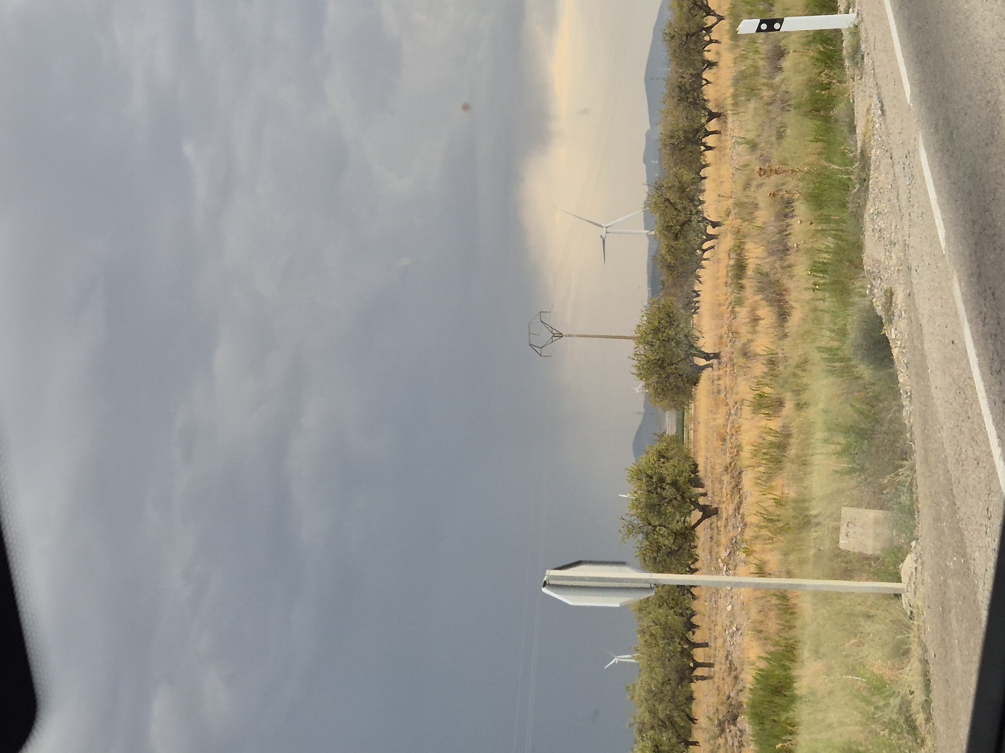 The image shows a rural landscape with a road in the foreground. The road has a white line painted on it. To the right of the road is a white post with black reflectors. Behind the road, there is a field of dry grass and scattered green bushes, with a row of trees in the middle distance. Further in the background, there are several wind turbines visible against a cloudy sky. The sky is dark and appears to be overcast, with some lighter patches towards the horizon. The overall impression is of a somewhat dramatic or moody weather scene in an open, possibly agricultural, area. There are no people visible in the image.