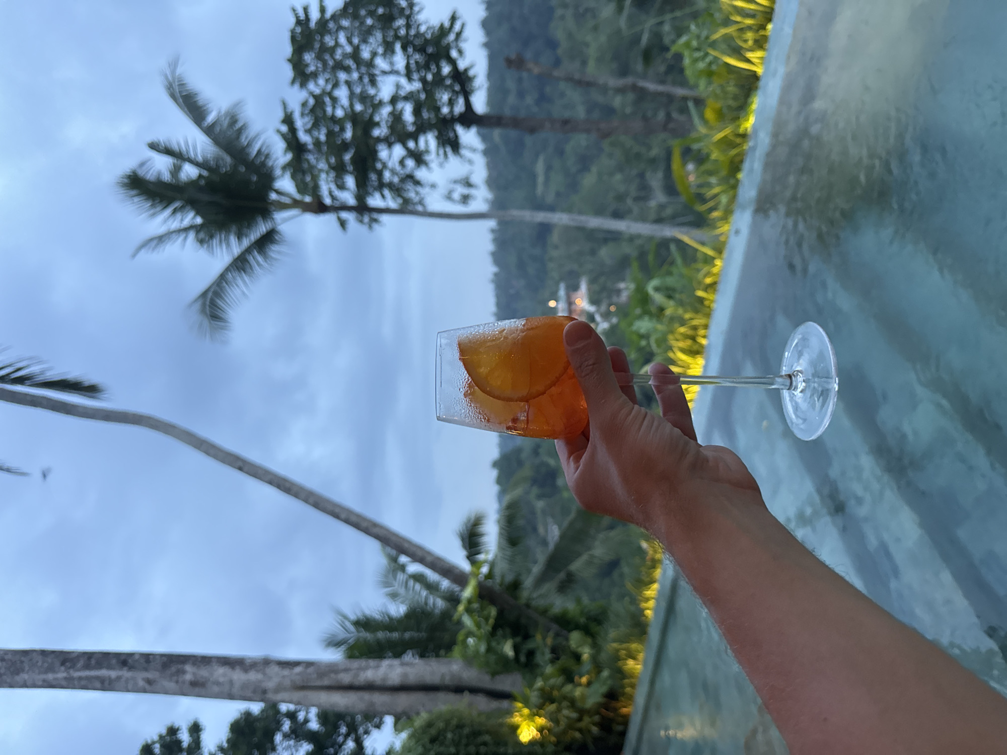 A person holds a stemmed glass filled with a reddish-orange liquid, presumably a cocktail, containing slices of orange or other citrus fruit. The backdrop features a tropical scene with palm trees against a cloudy sky, along with verdant hillside vegetation suggesting a dense forest. The person's arm is visible, extending into the frame with the glass held aloft. A pool or reflective surface is adjacent to the arm, possibly with illuminated edges. The location is likely in the Ubud District of Indonesia, based on the vegetation and landscape features.