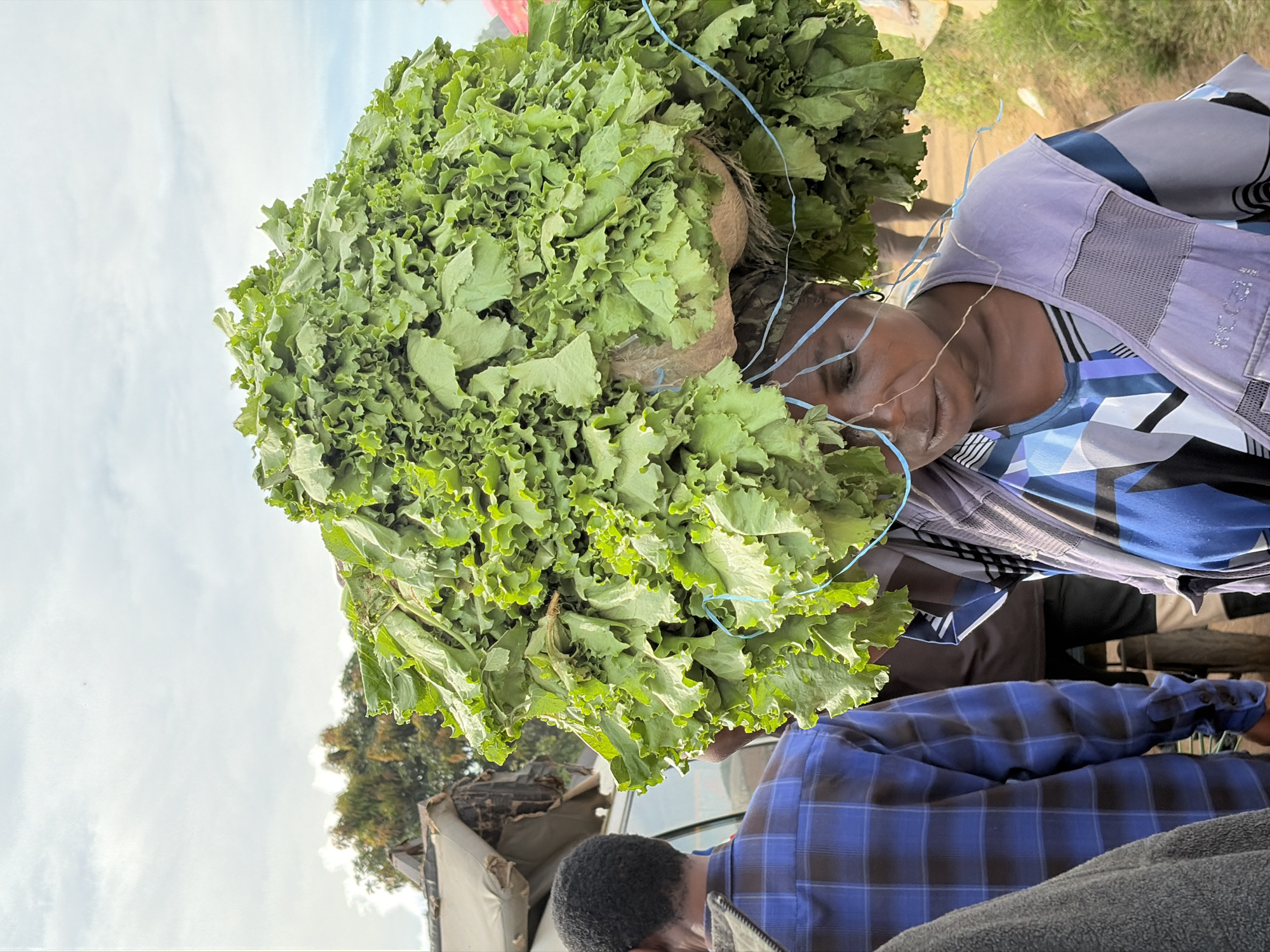 A woman carries a large bundle of green leafy vegetables on her head in Gura Top, Nigeria. She is wearing a blue and white patterned dress with a purple vest over it. Her face is partially obscured by the leaves and some blue strings. To her left, a man wearing a blue and black plaid shirt is visible. In the background, a white vehicle and trees can be seen, suggesting an outdoor market or roadside setting. The sky is overcast.