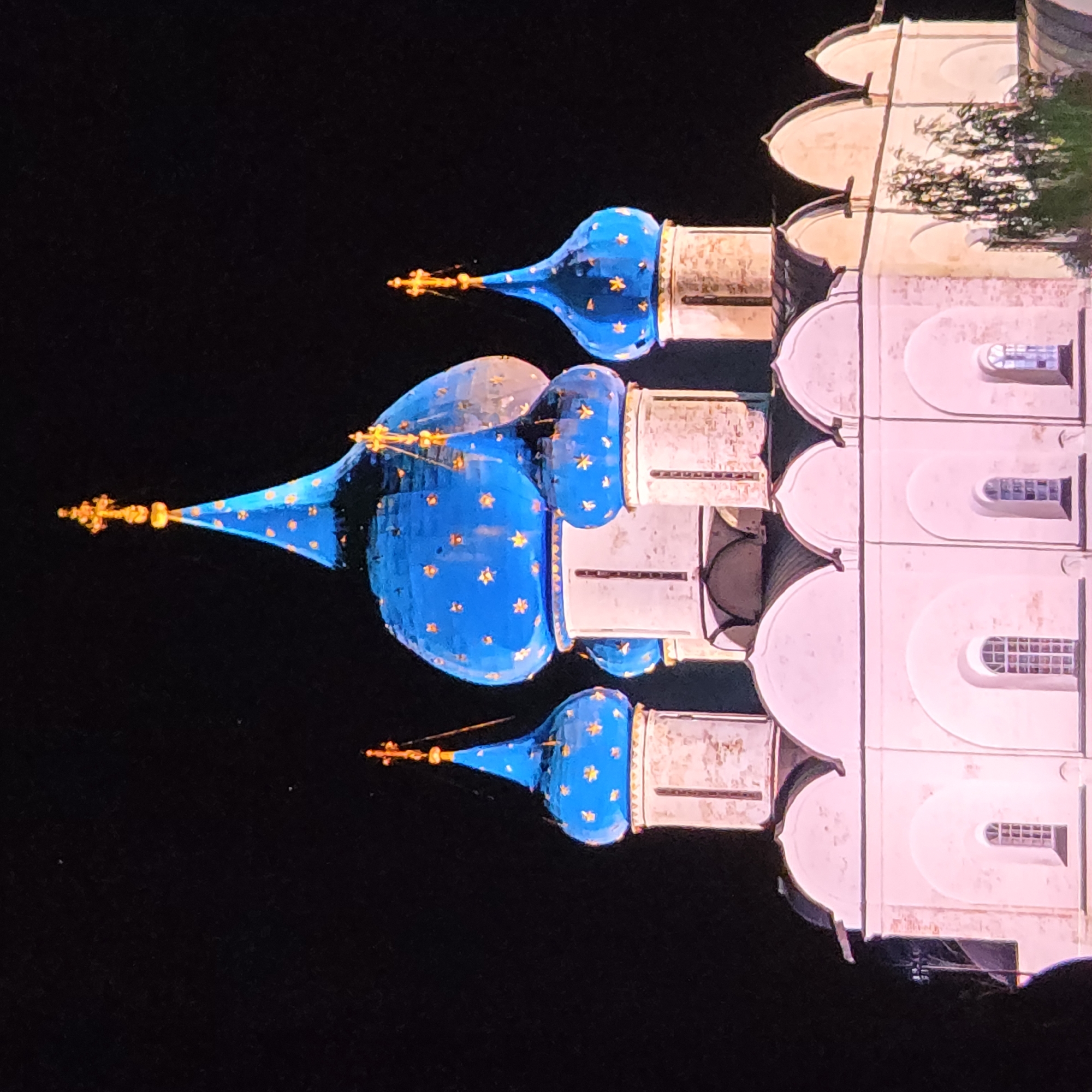 The image depicts the Assumption Cathedral (Uspensky Sobor) in Vladimir, Russia, illuminated at night against a dark sky. The cathedral features multiple blue domes adorned with golden stars, topped with golden crosses. The white stone structure of the cathedral is visible below the domes, with arched windows and decorative architectural elements. Some trees and foliage are partially visible at the bottom right of the image. The scene is lit with artificial lighting that casts a pinkish hue on the building.