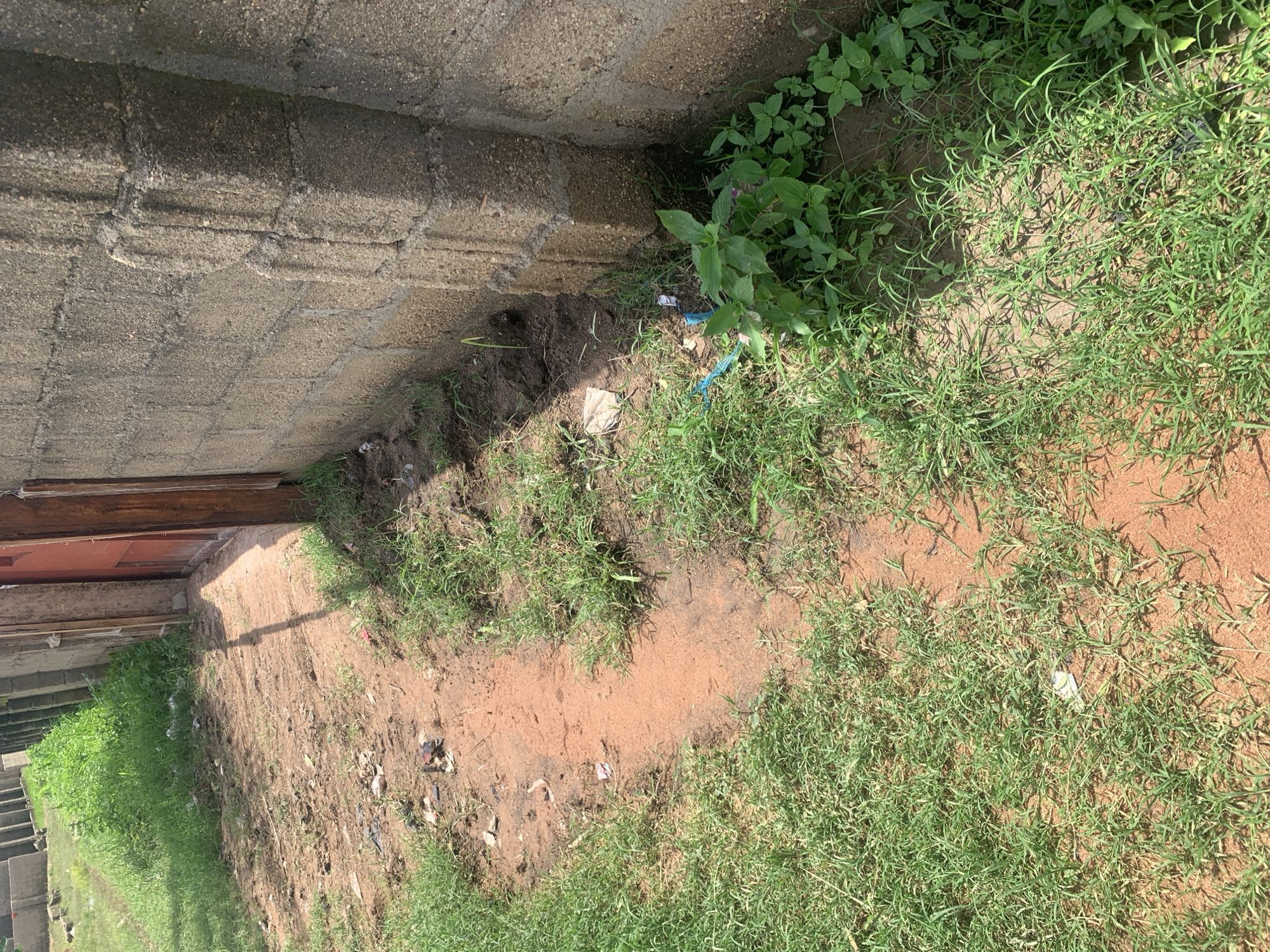 The image depicts an outdoor scene in Jauro Yinu, Nigeria, featuring a narrow dirt path bordered by grass and a concrete block wall. The path, composed of reddish-brown soil, is partially overgrown with green grass on either side. The concrete wall, constructed from rough-textured blocks, runs along the right side of the image, casting a shadow onto the ground. Visible in the grass near the wall are small pieces of debris, including what appears to be a blue plastic tie. The overall environment appears to be somewhat unkempt, with patches of exposed earth and scattered refuse. The lighting suggests a sunny day, with strong shadows indicating the position of the sun. There are no people visible in the image.