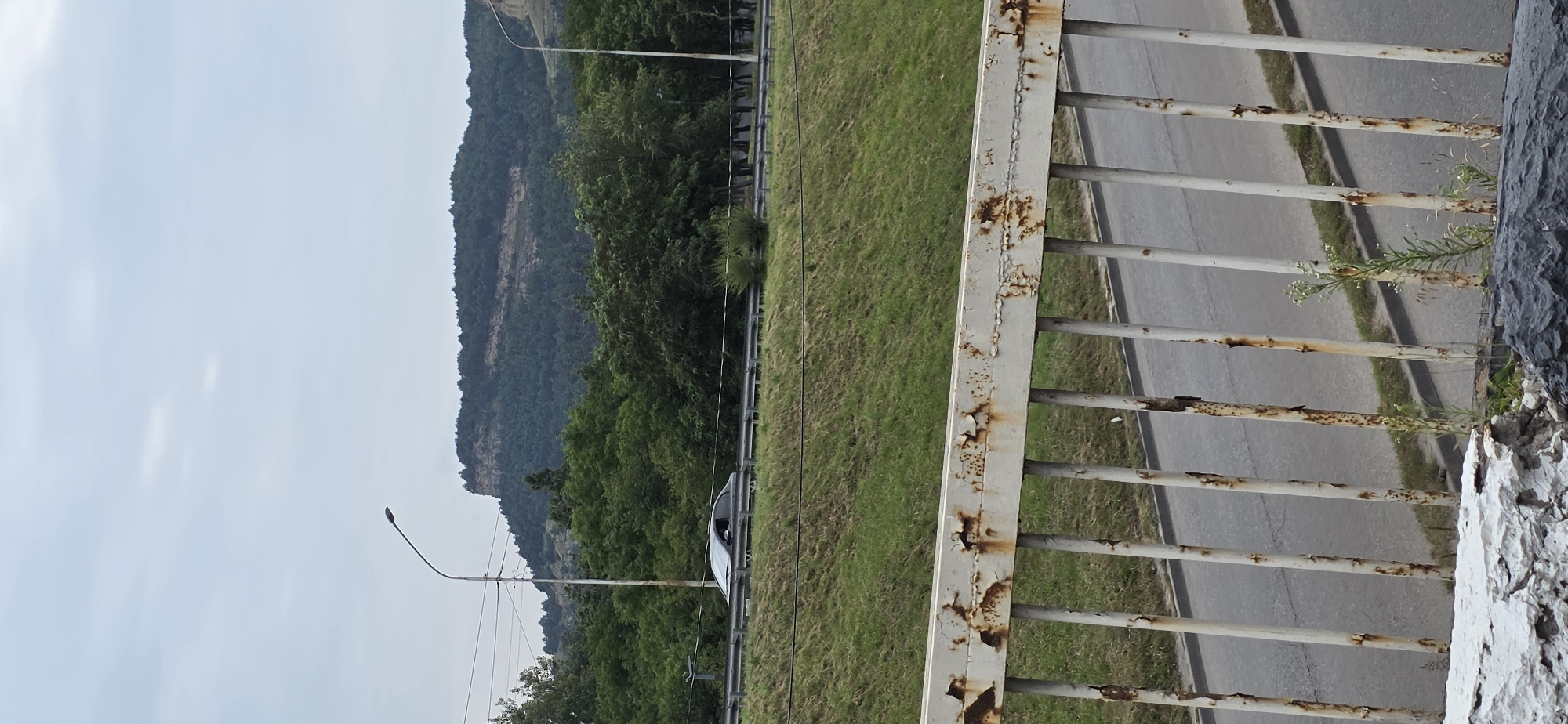 The image is a medium shot taken from a slightly elevated perspective, looking towards a highway with a mountainous backdrop. In the foreground, a weathered, white metal railing with visible rust is prominent, with several vertical bars supporting a horizontal bar. Beyond the railing, a paved road is visible, with a grassy embankment sloping upwards.
On the highway, a silver sedan is driving in the left lane, with its front and passenger side visible. The car appears to be in motion. Above the highway, a dense line of green trees forms a lush canopy. In the distance, a layered mountain range with a distinctive flat plateau on top dominates the background. The sky is overcast with a pale, muted light. A tall lamppost with a single light fixture stands near the highway on the left side of the image.
The scene is likely located in Kislovodsk, Russia, given the distinctive geological formations often found in the region. The overall atmosphere is one of a typical roadside view, with elements of both nature and infrastructure present. There are no people visible in the image.