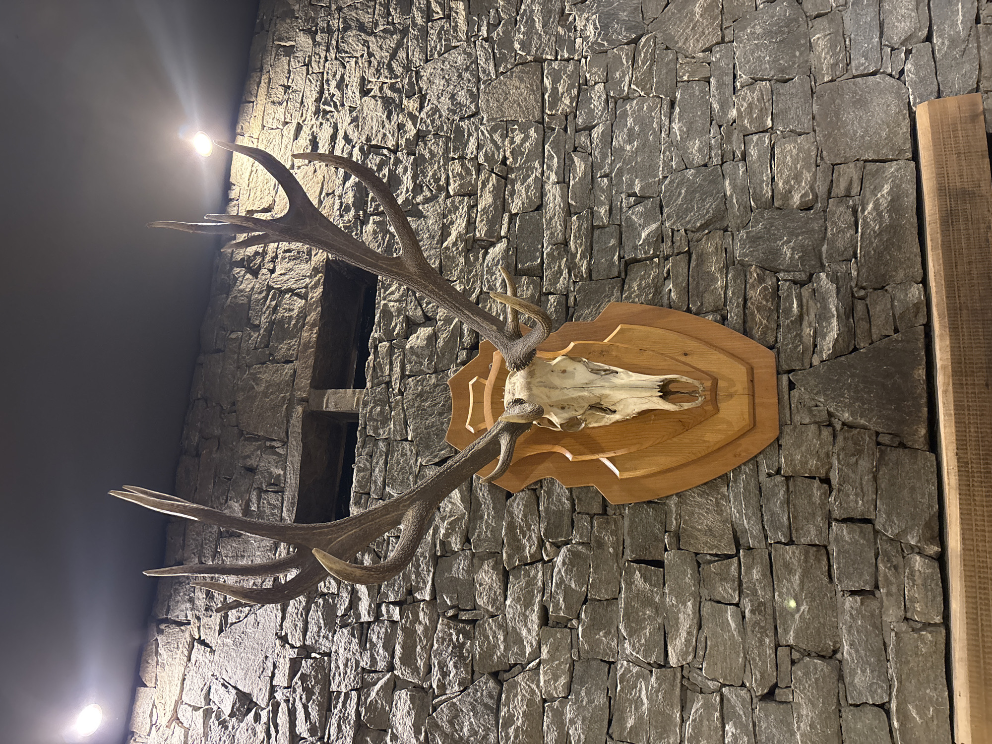 The image shows a deer skull with antlers mounted on a wooden plaque, which is affixed to a stone wall. The stones are mostly gray and rectangular, with varying sizes. To the left of the mounted skull, there's a darker area suggesting a recessed or enclosed space. A strip of wood trim is visible on the right side of the frame. The setting appears to be indoors.