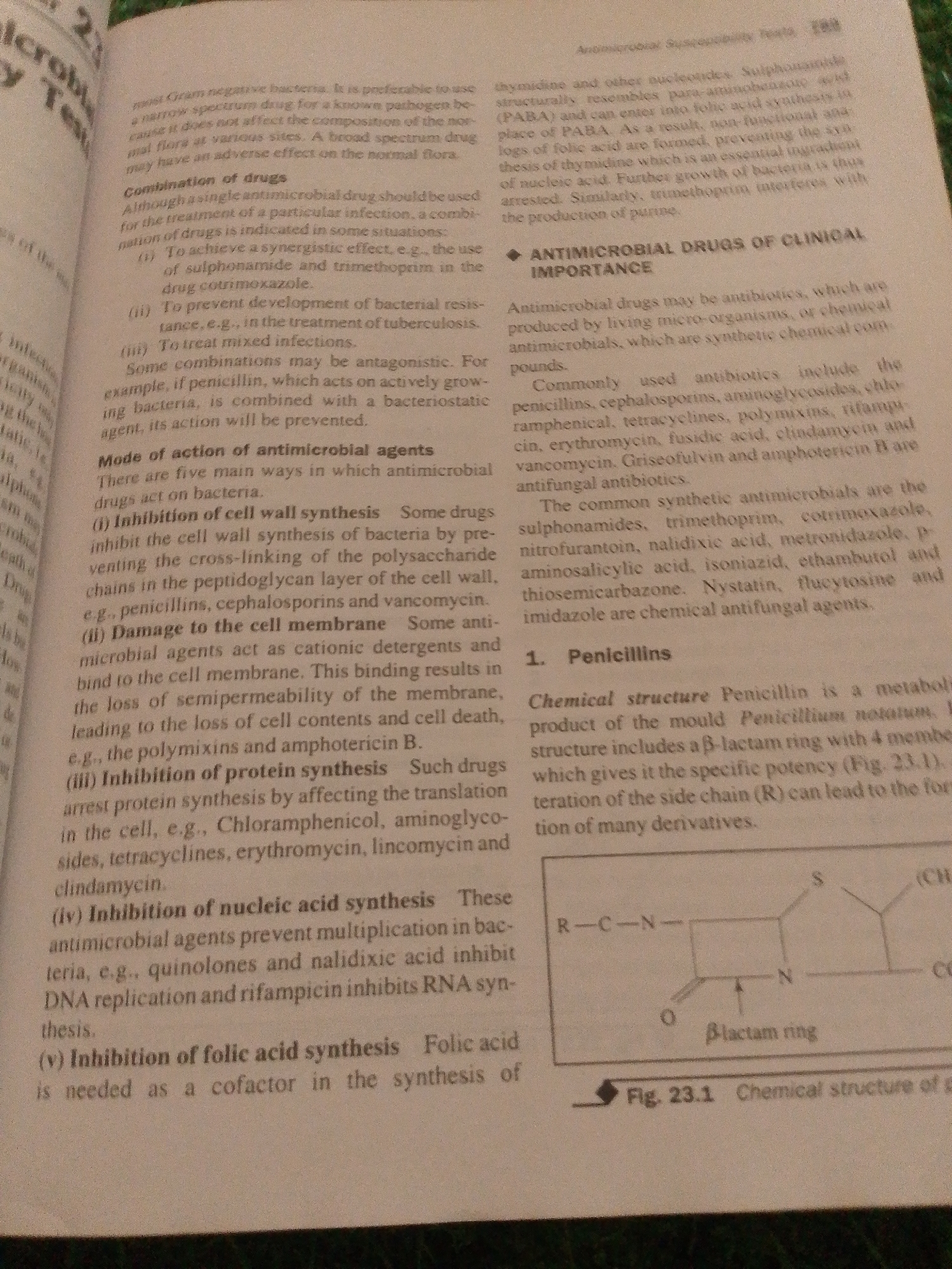 The image is a photograph of an open textbook, likely from a biology or pharmacology class, discussing antimicrobial drugs. The textbook pages are angled upwards, and the lighting suggests an indoor setting, possibly a library or study area. The focus is on the text and a diagram.
The text covers various aspects of antimicrobial agents, including their mode of action, clinical importance, and specific examples like penicillins. Several headings and bullet points are visible, detailing topics such as "Combination of drugs," "Mode of action of antimicrobial agents," and "ANTIMICROBIAL DRUGS OF CLINICAL IMPORTANCE." Specific types of drugs are mentioned, including penicillins, cephalosporins, sulfonamides, and trimethoprim, along with their mechanisms of action like inhibiting cell wall synthesis or protein synthesis.
A prominent feature is a diagram labeled "Fig. 23.1 Chemical structure of" which illustrates the chemical structure of penicillin, highlighting the "β-lactam ring." The diagram shows a skeletal chemical structure with labels indicating "R-C-N-", "N", "S", and "O", and the β-lactam ring.
There is no indication of people, specific weather, time of day, or emotions. The setting is purely academic, focused on the educational material presented in the textbook. The location context of Jalingo, Nigeria, is not visually evident from the image itself.