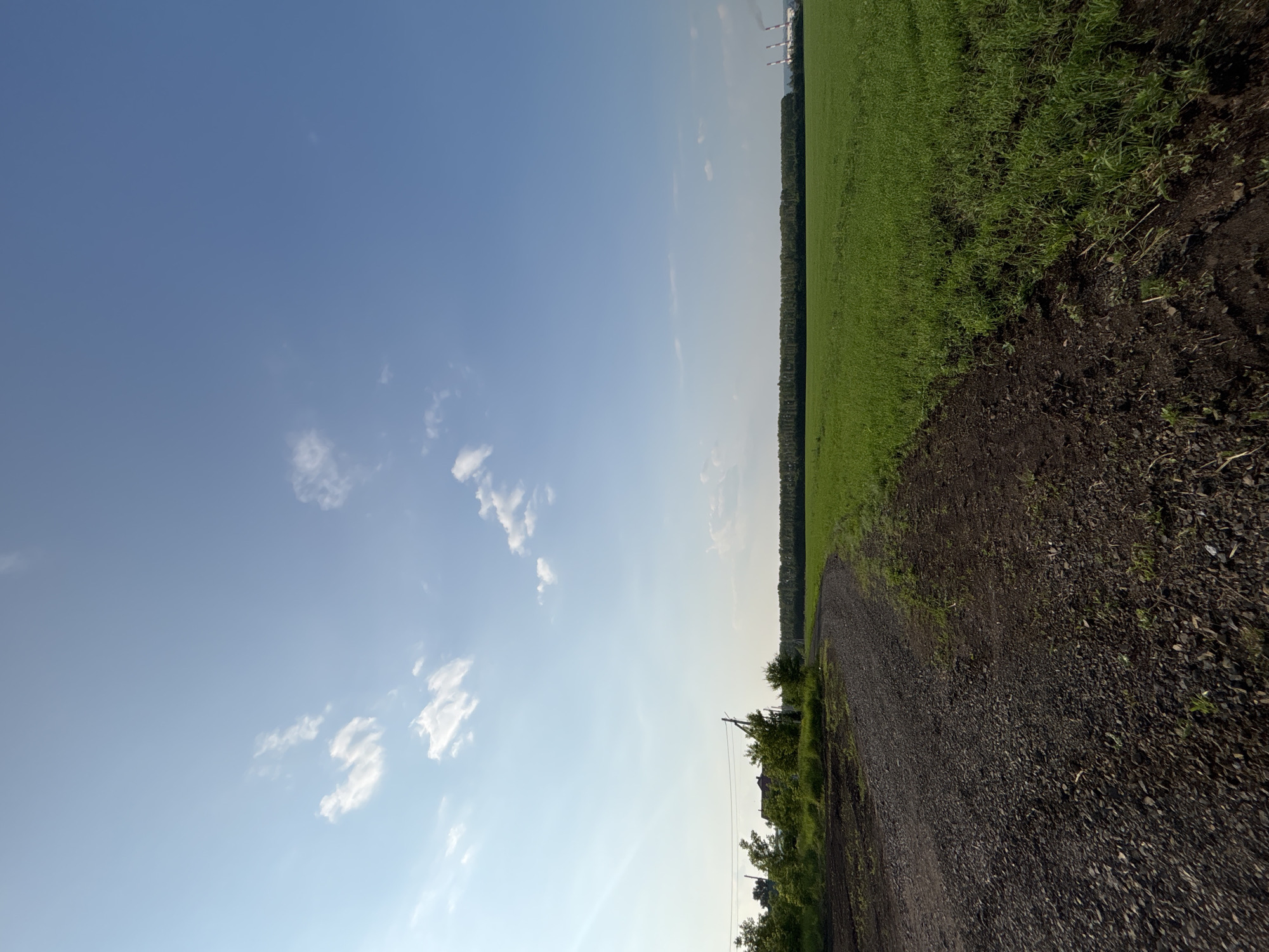 The image depicts a rural landscape in Vishnevka, Russia, on a clear day with a bright blue sky and scattered white clouds. A dirt road with scattered gravel curves through the foreground, leading towards a dense line of trees in the middle ground. To the right of the road, a vast, verdant field stretches to the horizon. In the far distance, on the right side of the image, three industrial smokestacks with plumes of smoke are visible, suggesting a factory or power plant. A few trees and a small building are situated on the left side of the road in the background, near the edge of the treeline. The overall scene conveys a sense of open space and agricultural activity.
