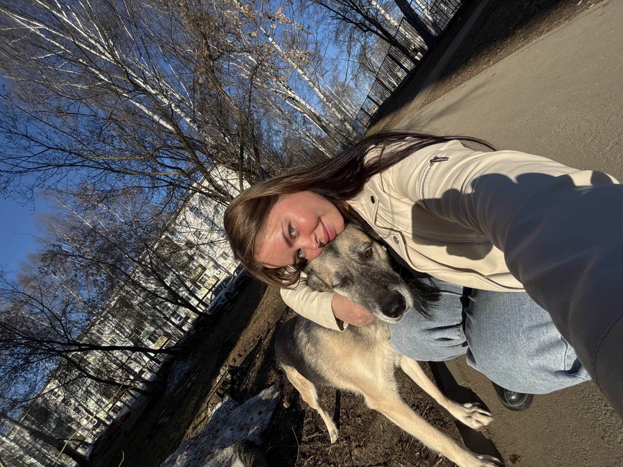 This image captures a heartfelt moment between a young woman and a dog outdoors under a bright, clear sky. The woman, with long brown hair, is seen from a high angle, appearing to take a selfie. She is wearing a light-colored (cream or beige) jacket and light blue jeans, and is affectionately embracing a medium-sized dog. Her face is pressed against the dog's head, and she looks towards the camera with a gentle, happy expression. The dog, which has a mix of light brown and grey fur, appears calm and content in her arms.
The scene is set in an urban outdoor environment, likely a park or residential area. A paved path runs through the foreground and midground. The background is dominated by numerous bare deciduous trees, many exhibiting white bark, suggesting they are birch trees. These trees reach towards a vibrant, cloudless blue sky. Strong sunlight is evident, casting distinct shadows and illuminating the scene, indicating it is late morning or early afternoon. The ground beneath the trees is a mix of dirt, dried leaves, and scattered patches of what appears to be melting snow or ice, signaling a late autumn, winter, or early spring season. In the deeper background, multi-story residential buildings are visible through the tree branches, typical of a city setting such as Izhevsk, Russia.
The primary activity is the woman's affectionate interaction with the dog. The mood is warm, loving, and peaceful, centered around the bond between the two subjects. No visible text is present in the image.